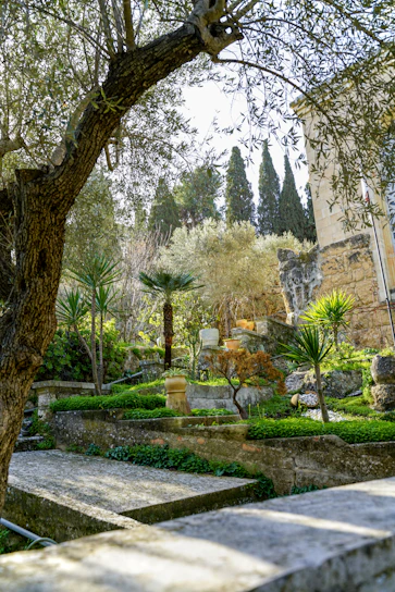 Lush green garden with stone pathways and trees