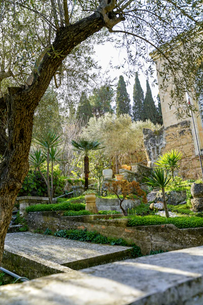 Lush green garden with stone pathways and trees