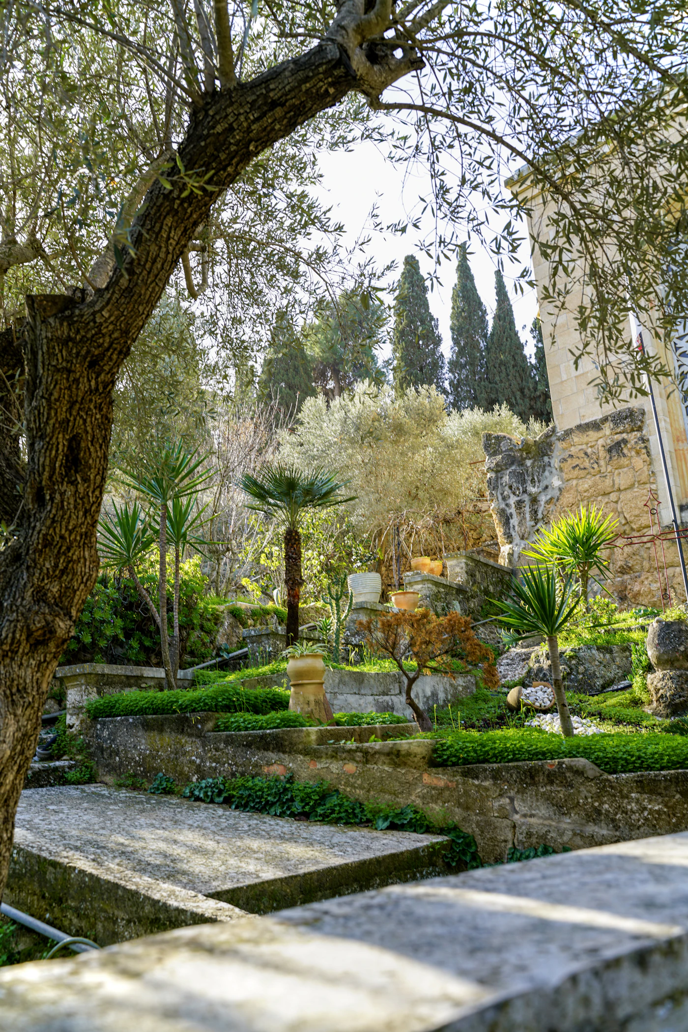 A lush green garden with stone pathways winding beneath mature trees.