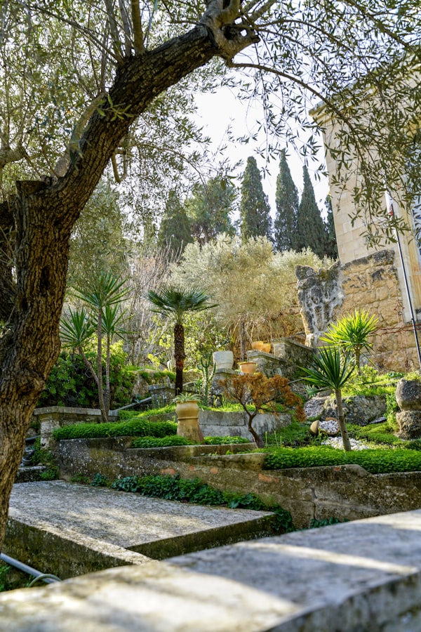 Aménagements extérieurs EDAC Bâtiment - jardin et terrasse en pierre