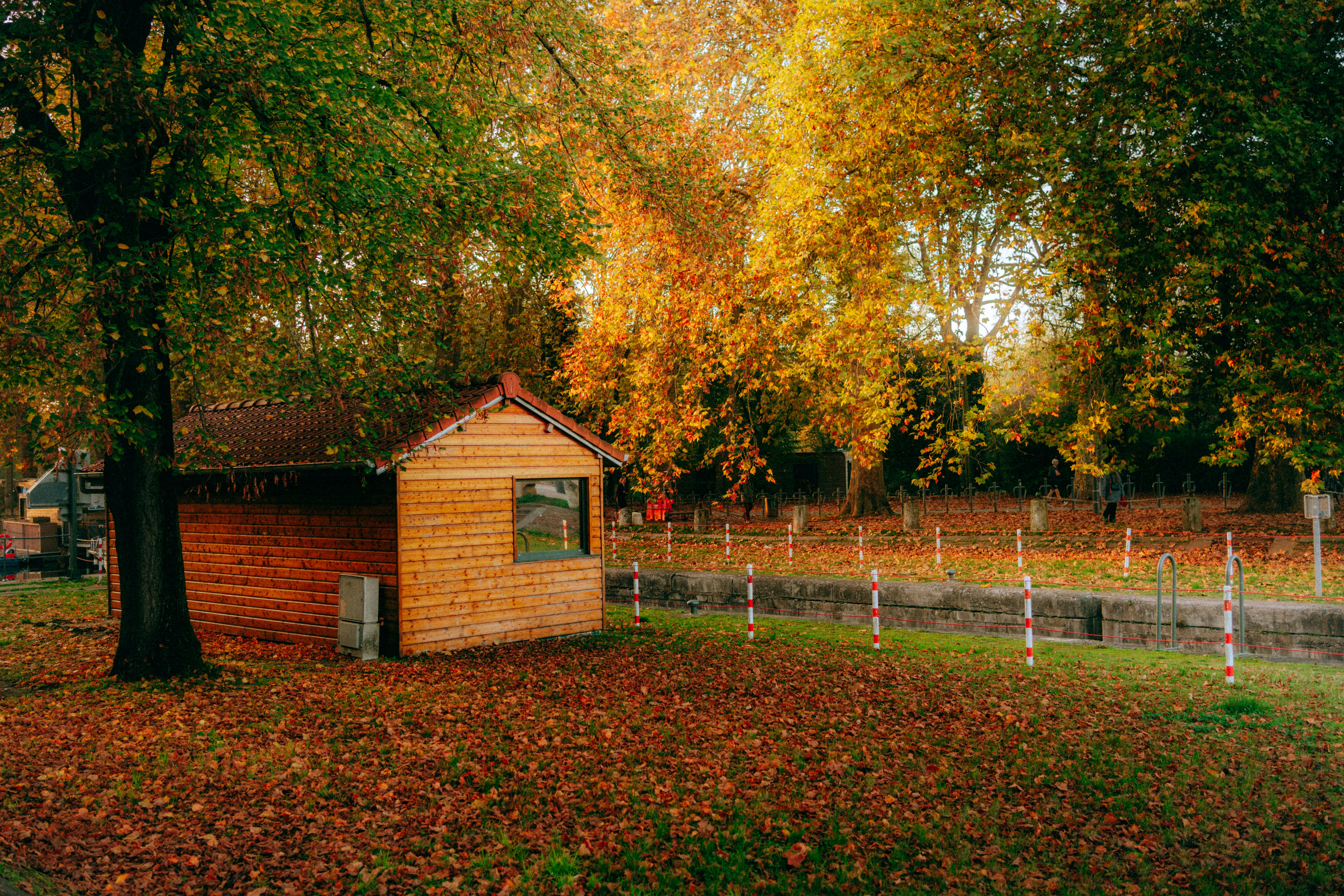Wooden shed surrounded by autumn trees and fallen leaves.