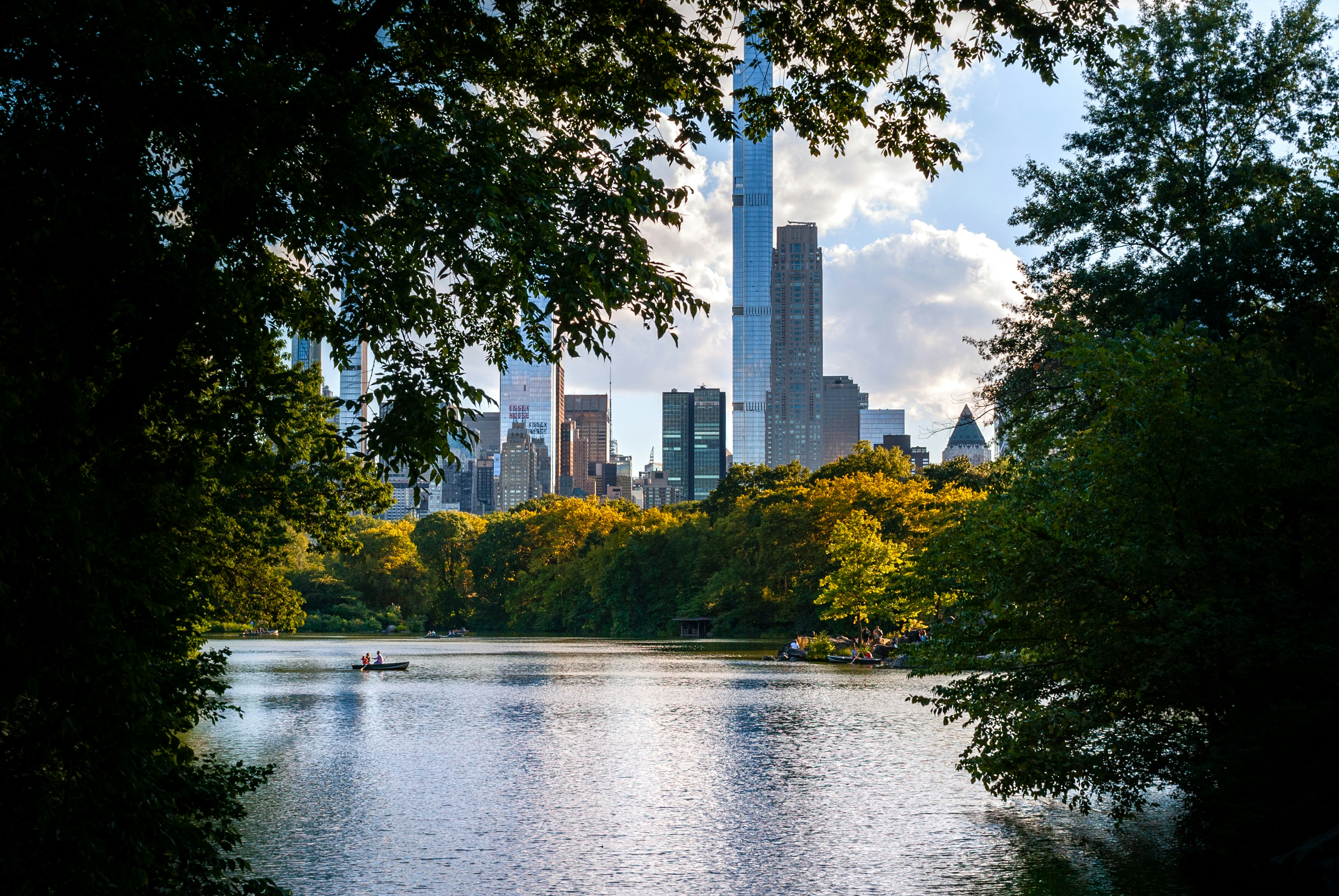 Lo skyline della città visto attraverso gli alberi con un lago.
