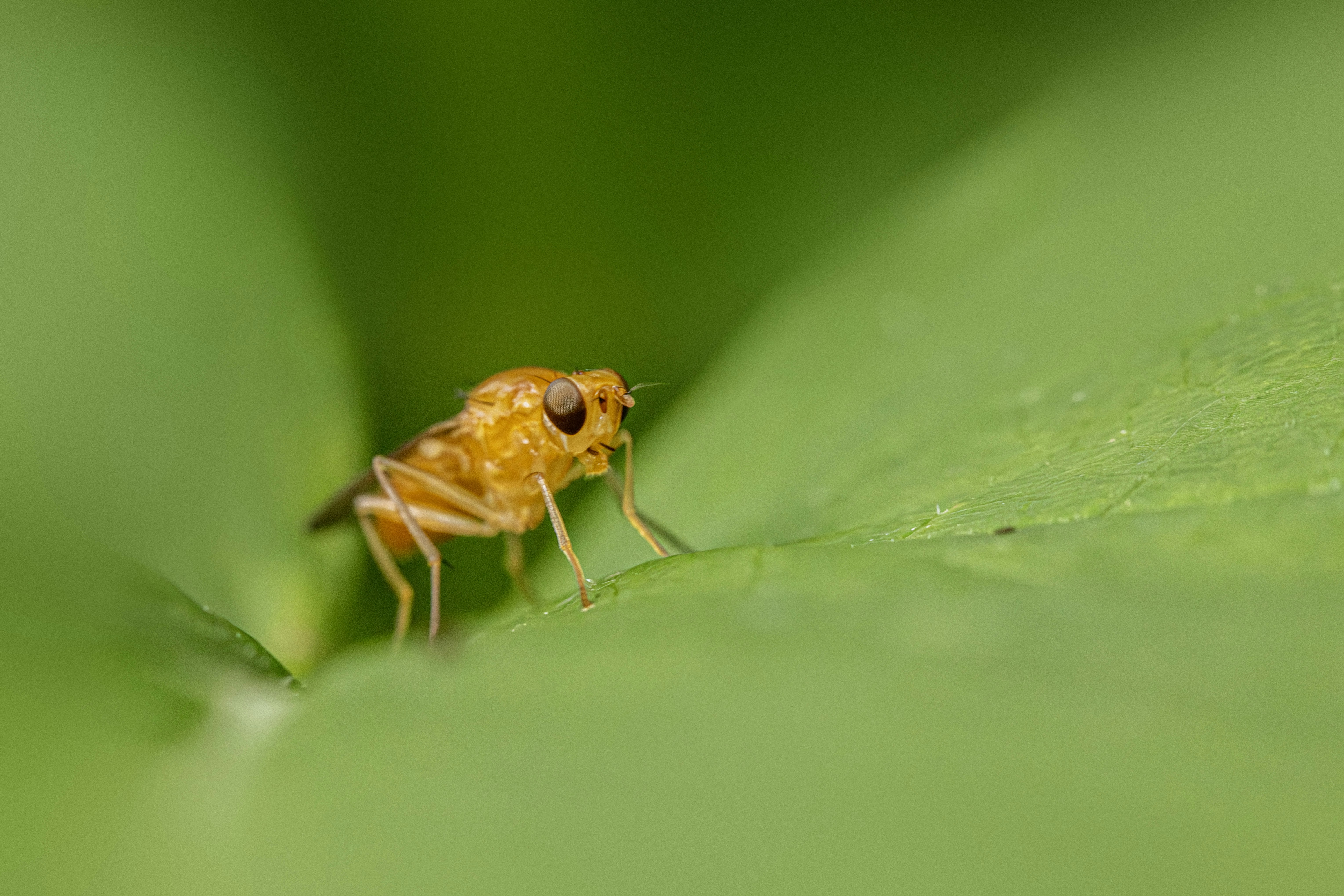 Photo by erik_karits