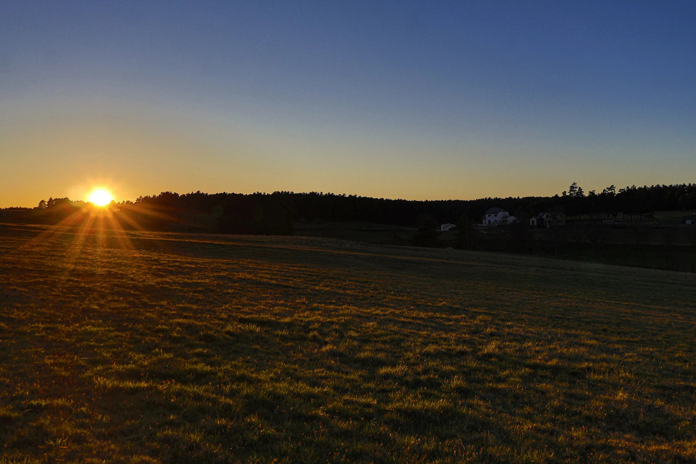 Golden field at sunrise across a rural landscape