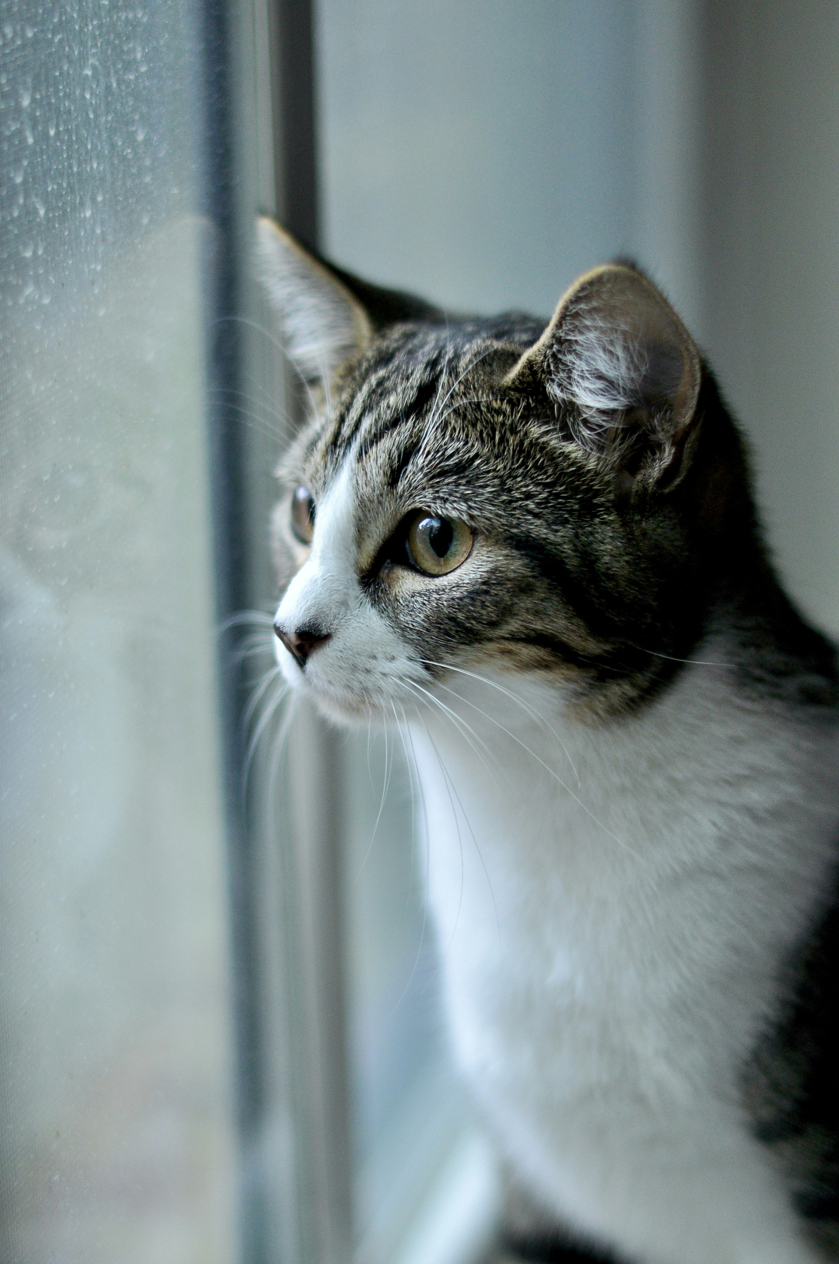 Photo by cameramandan83