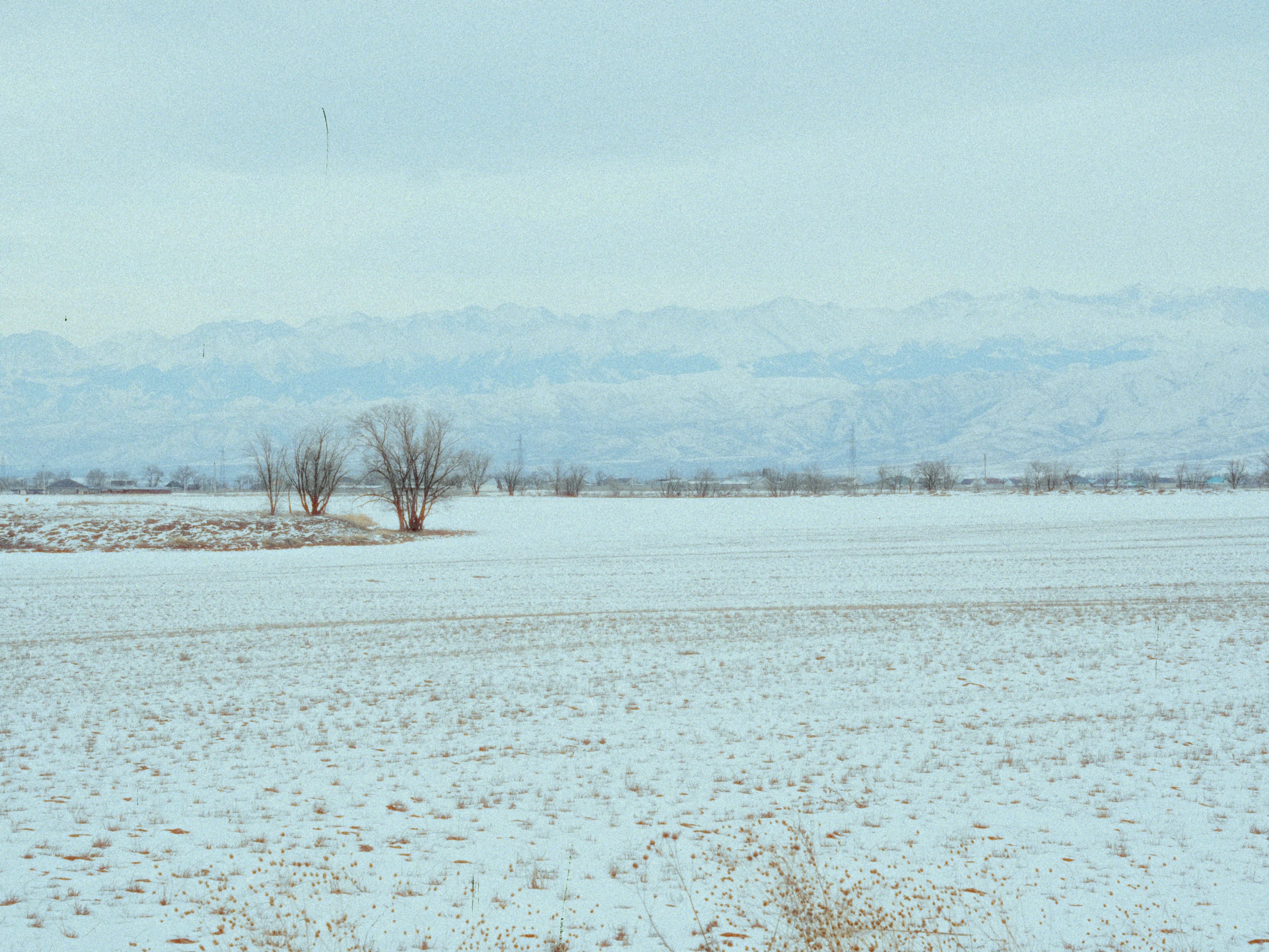 Snow-covered field with distant mountains under a cloudy sky.