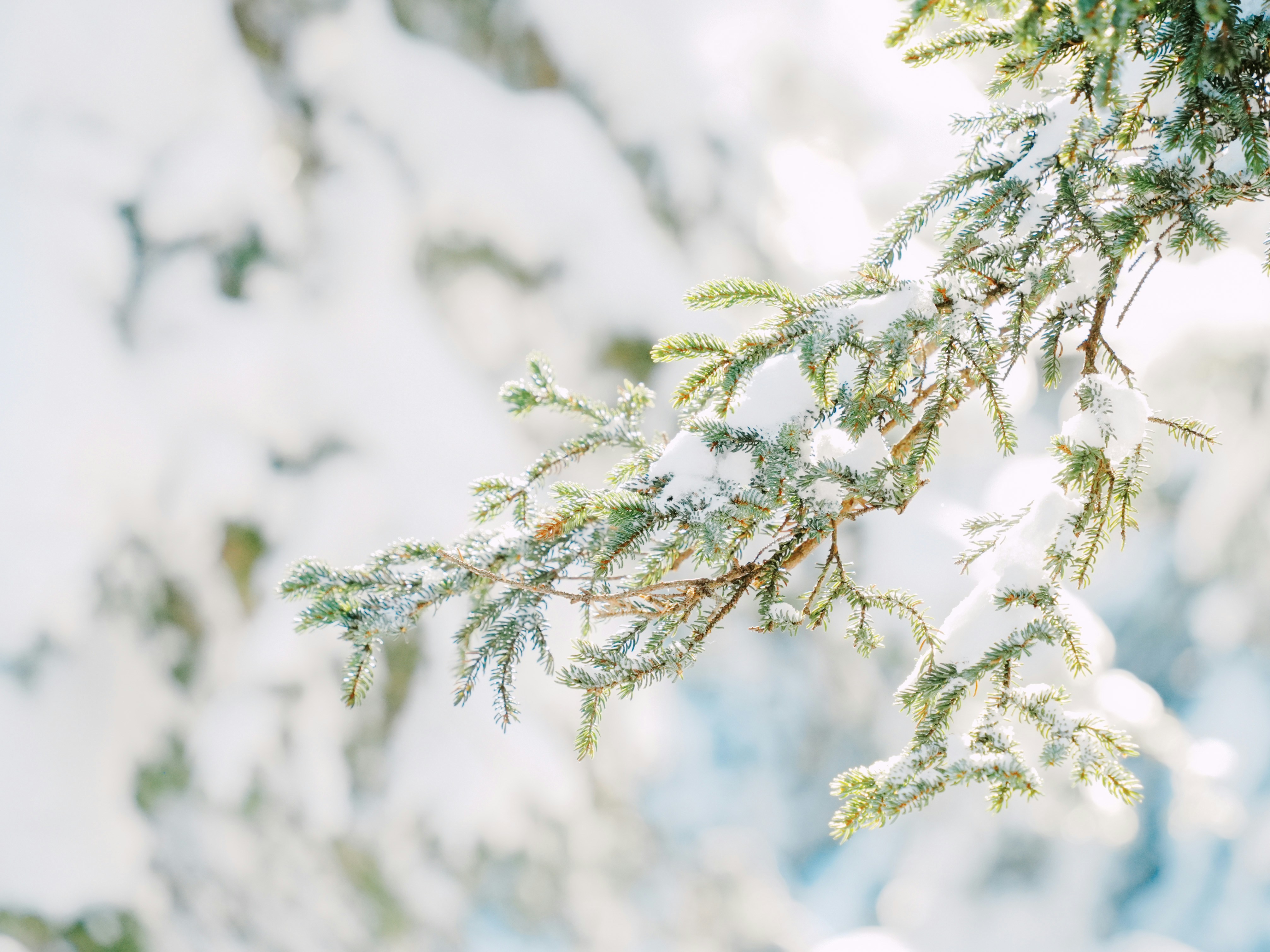 Photo by maxinehuluwa