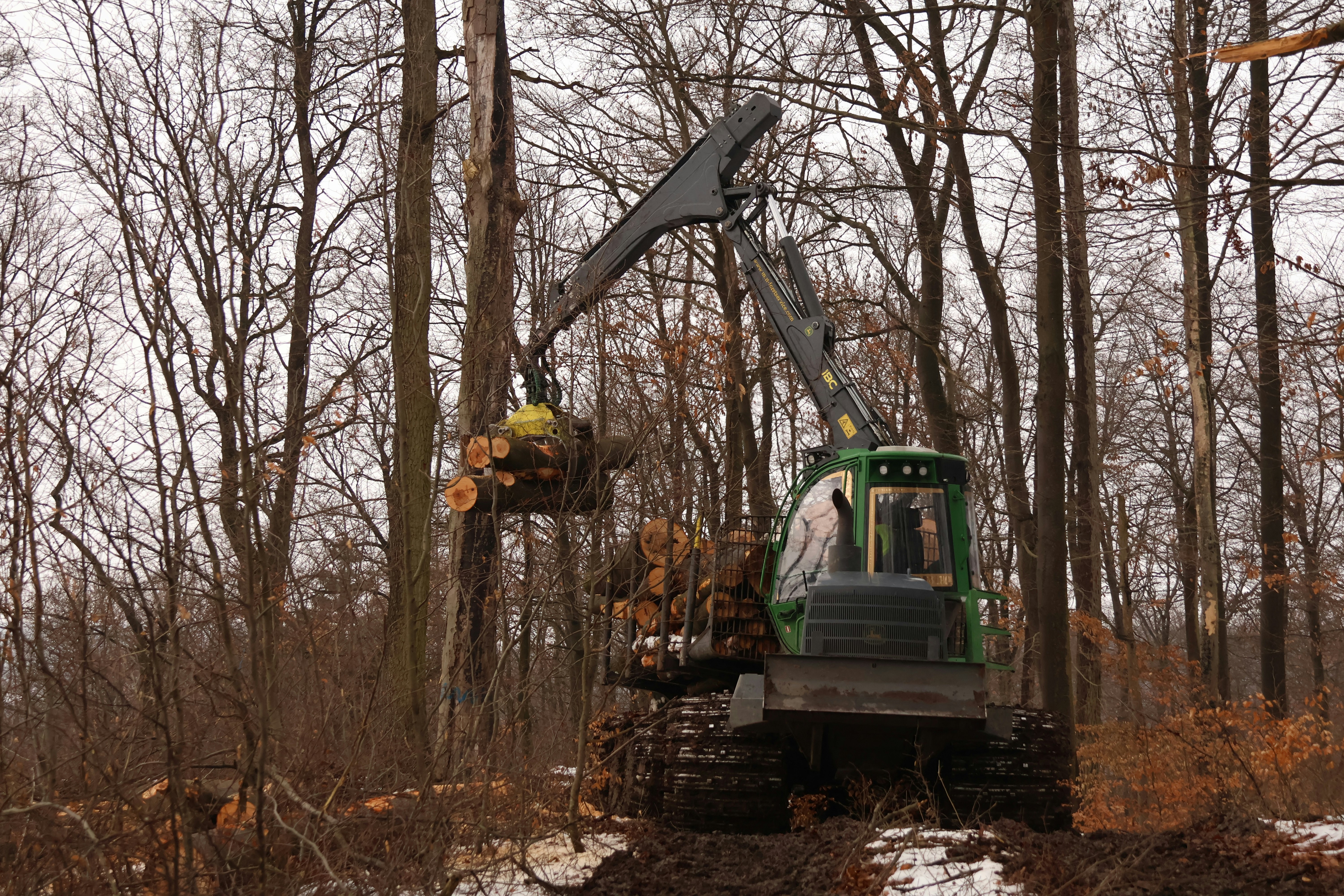 A logging machine loads logs in a forest.