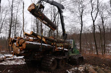 A logging machine loads logs in a forest.