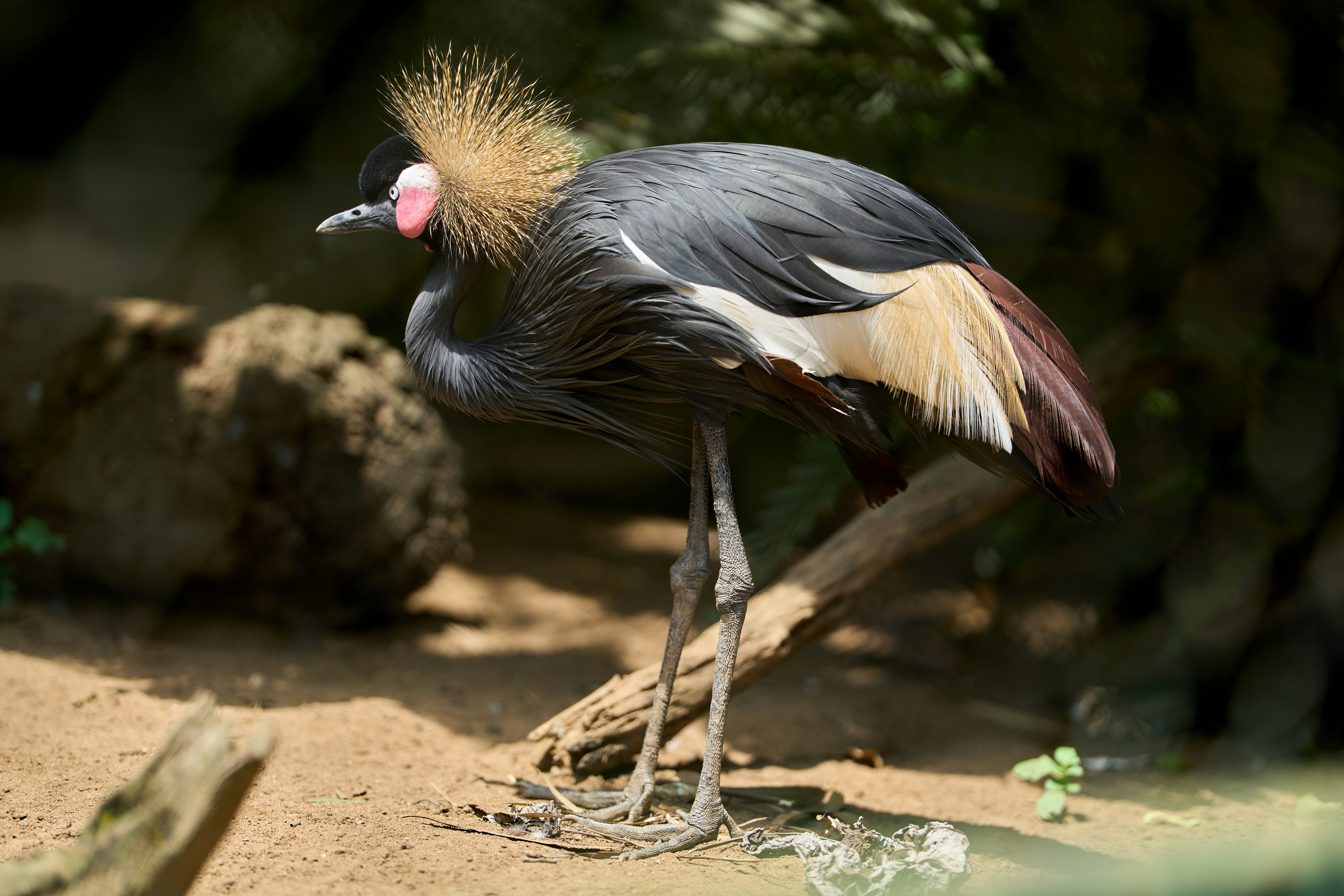 Photo by alekseyryan