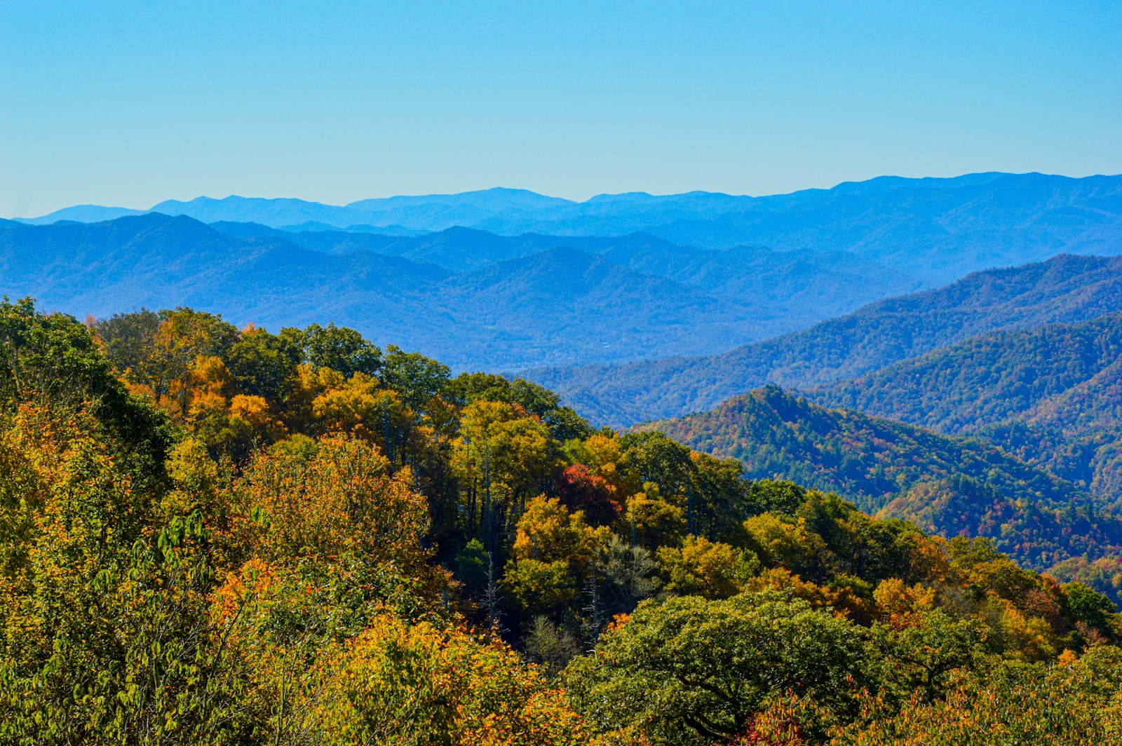 Moving to Dahlonega, GA: The Complete 2026 Relocation Guide
