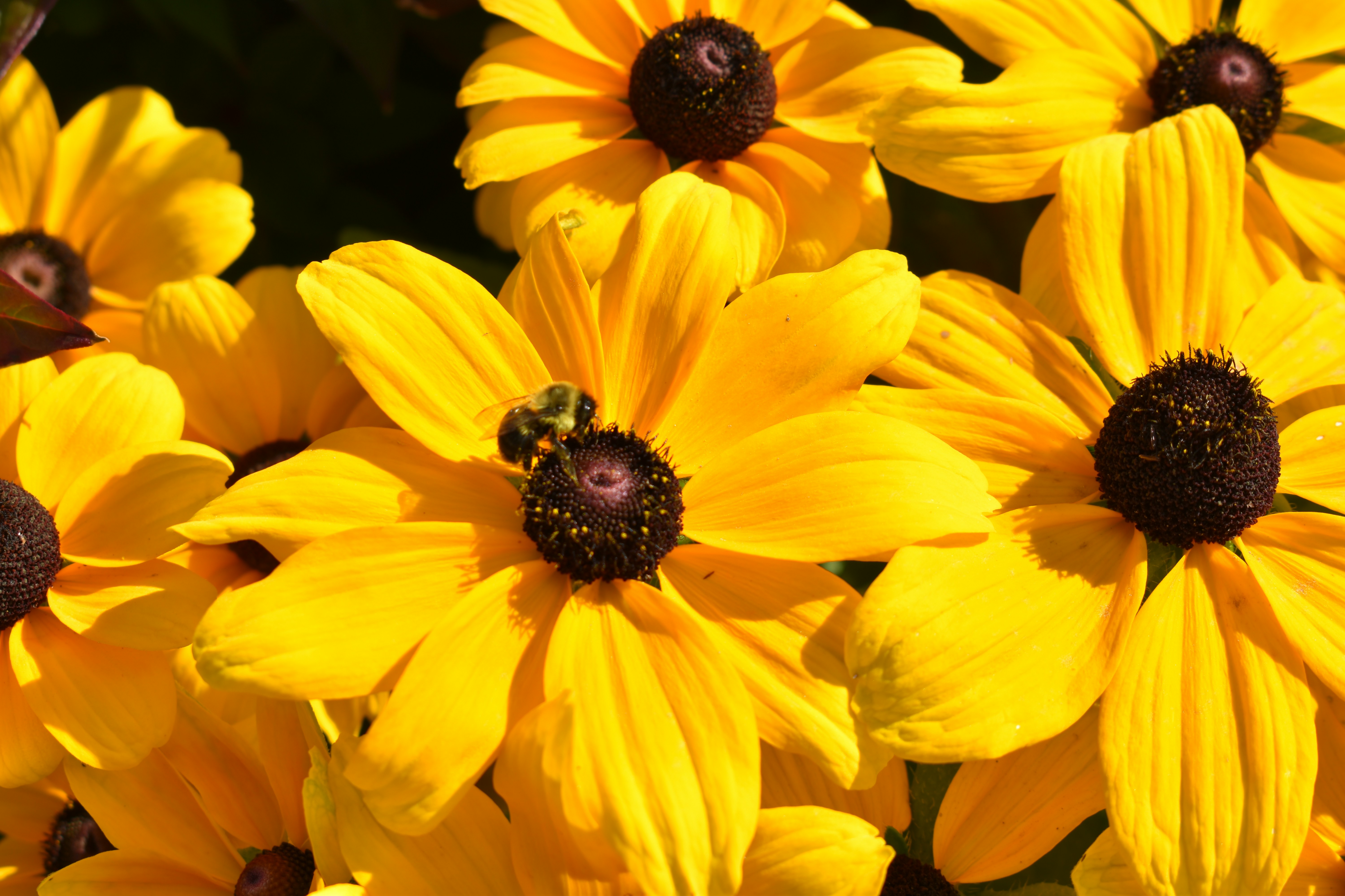 Photo by genesis_qwee