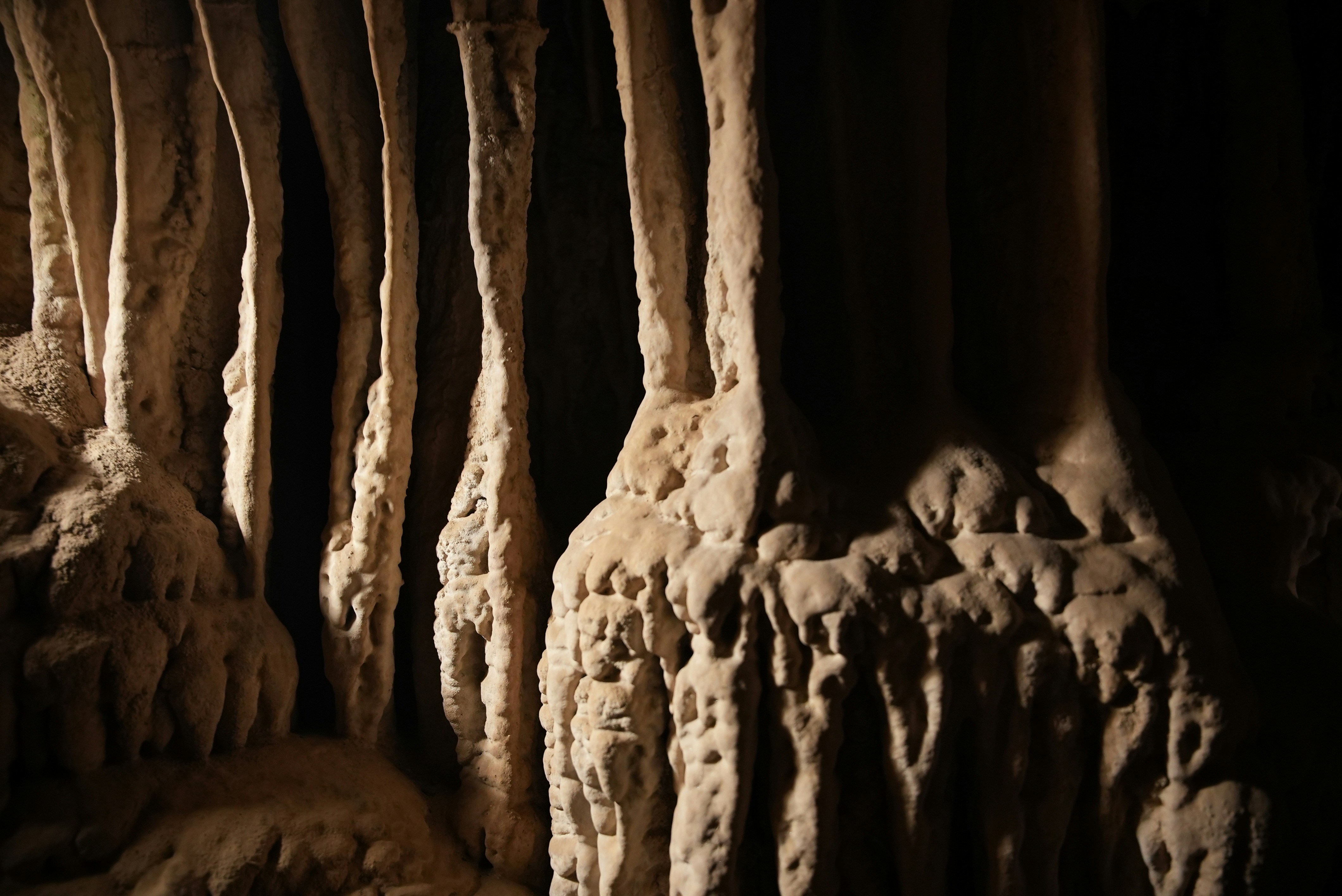 From Zero to Caves: A Rust Programmer's First Project