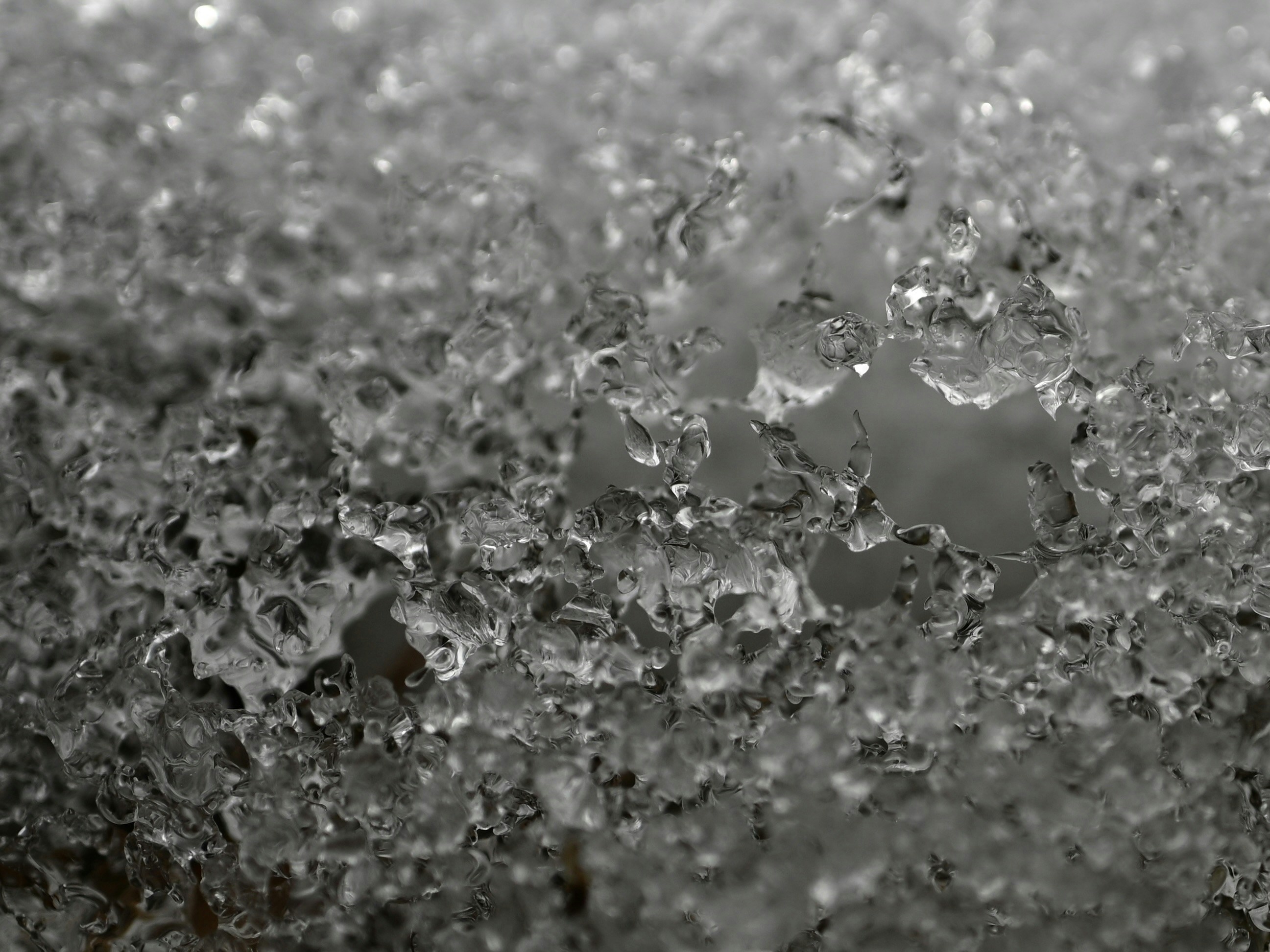 Photo by myworldisblue