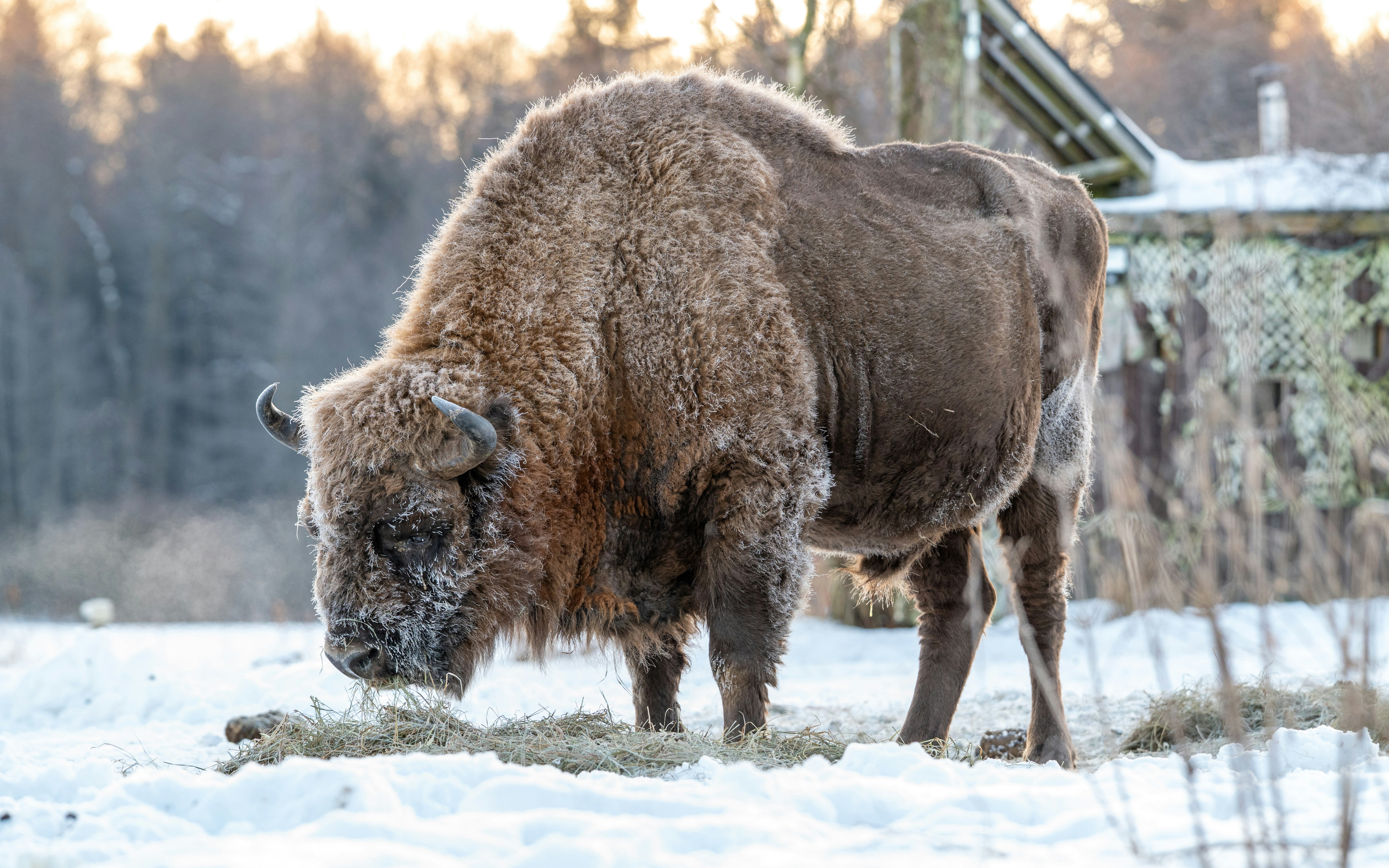 Photo by oj_wildframe