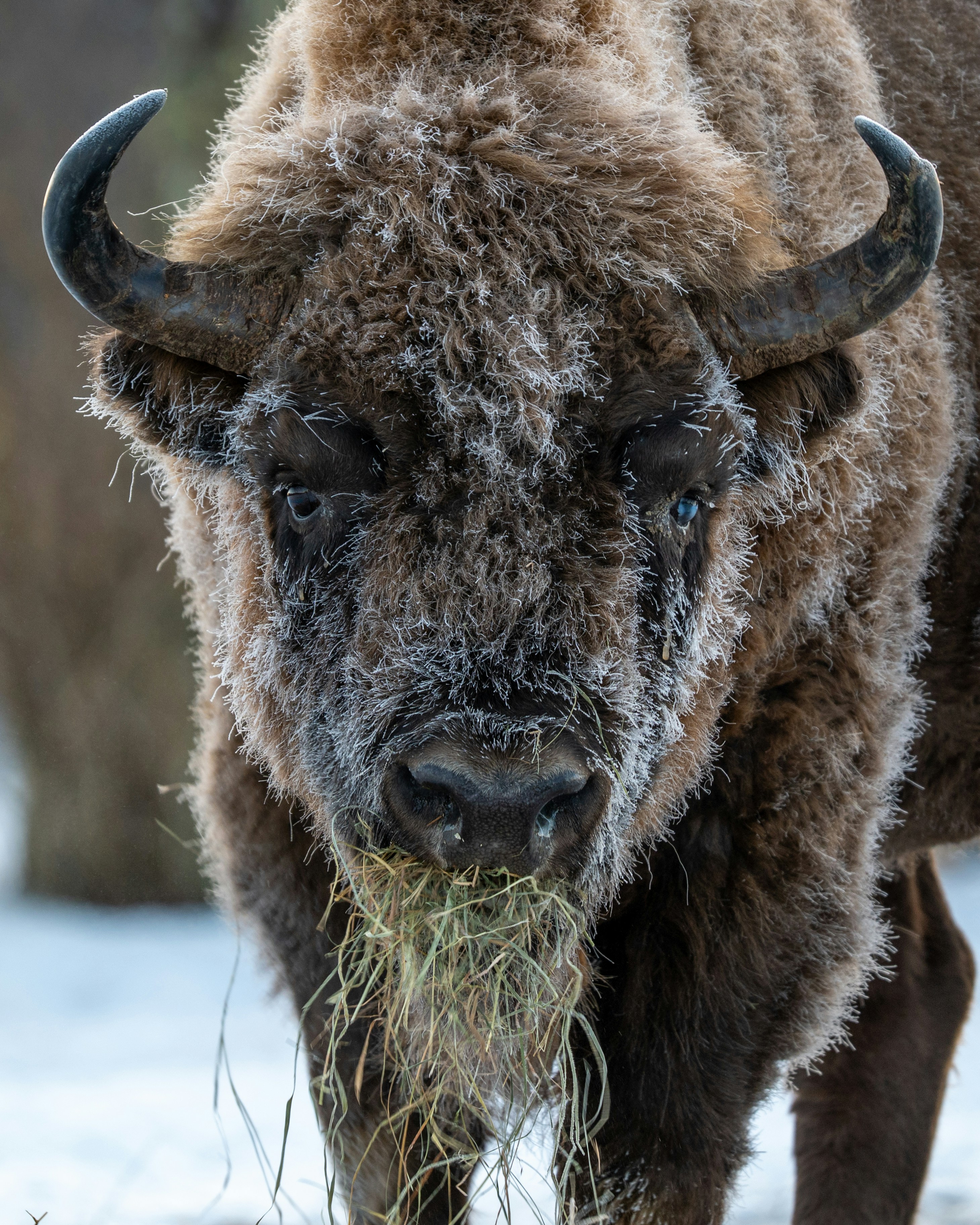 Photo by oj_wildframe