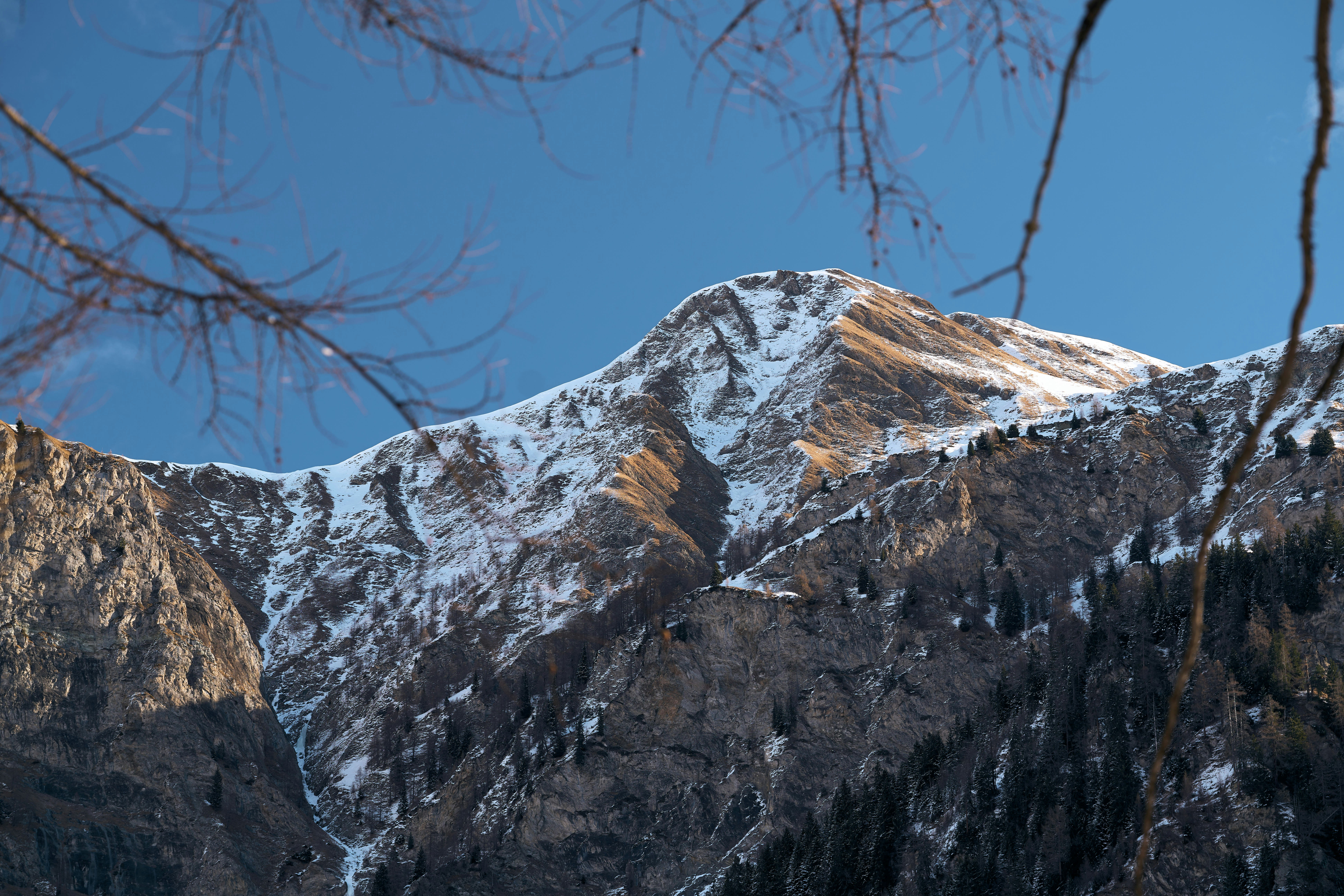 Photo by travelalphawolf