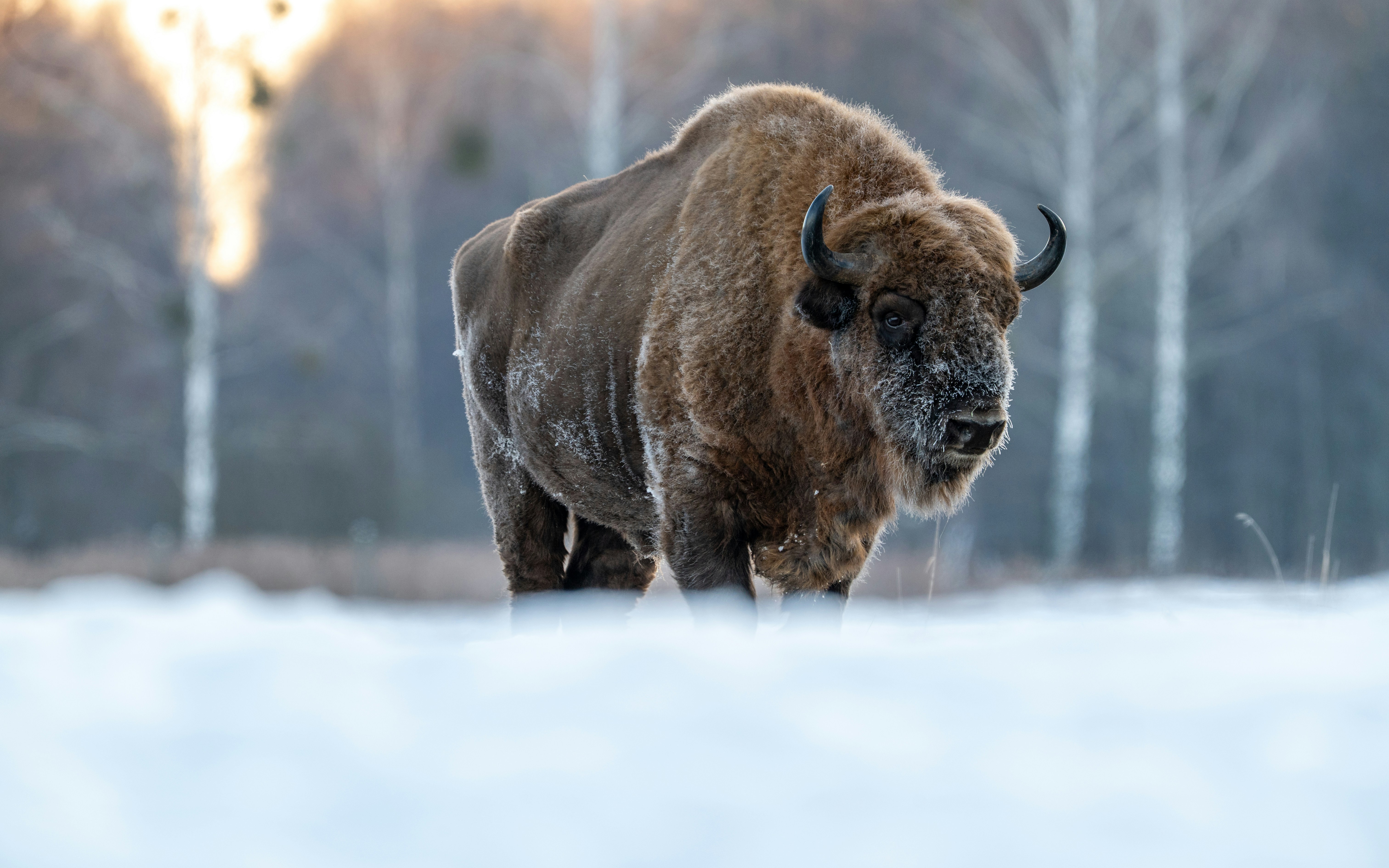 Photo by oj_wildframe