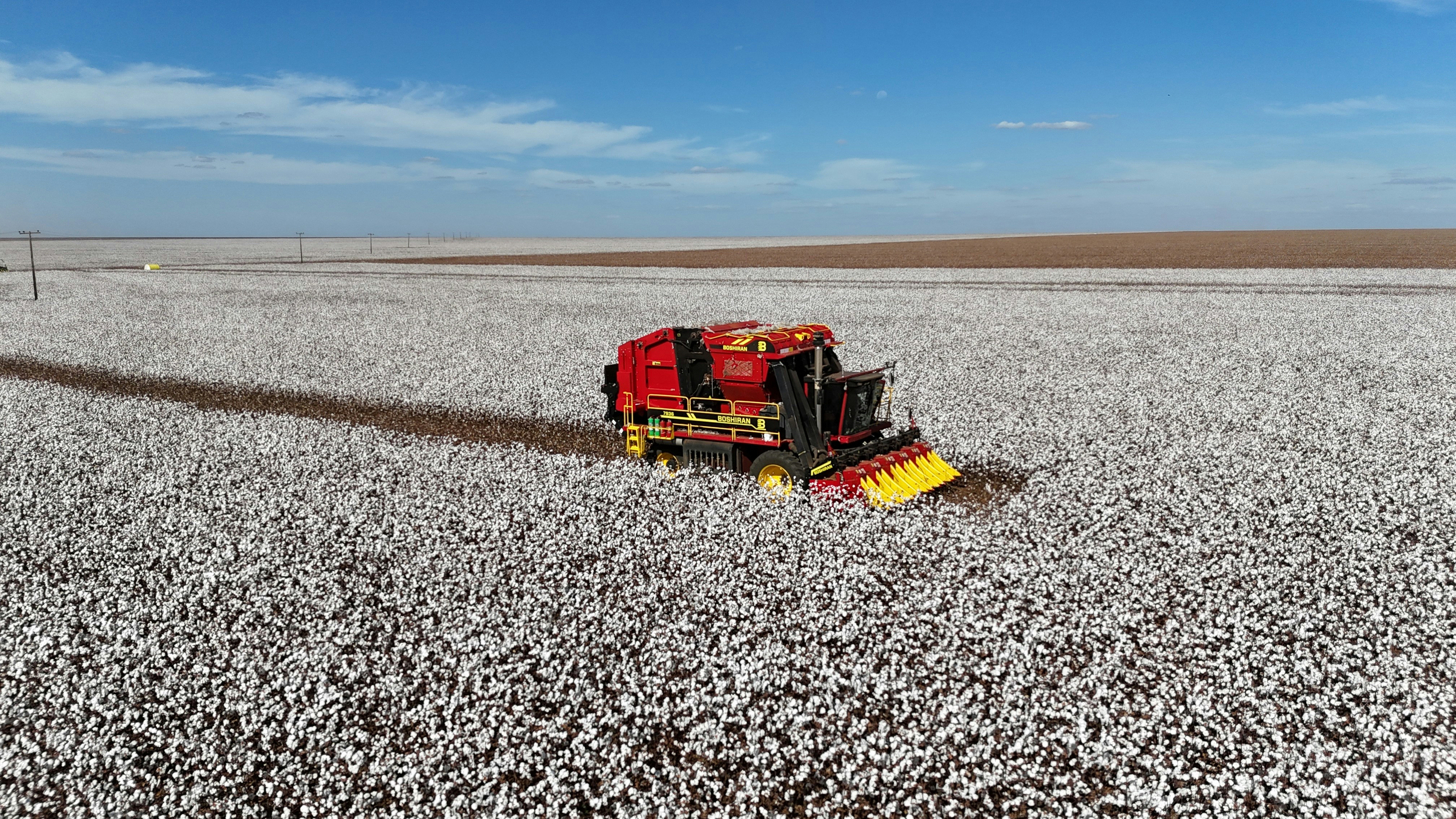 Red harvesting machine in a vast white field