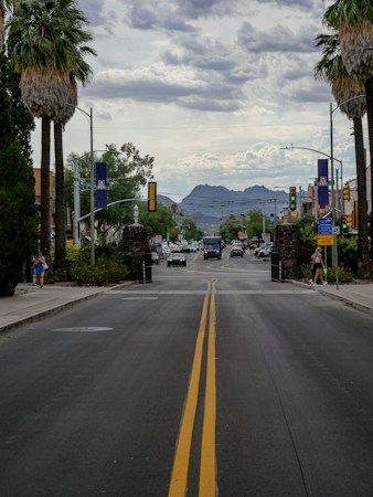 A palm-lined street near a desert university campus leading toward mountains, similar to the foothill setting of Nevada State University in Henderson