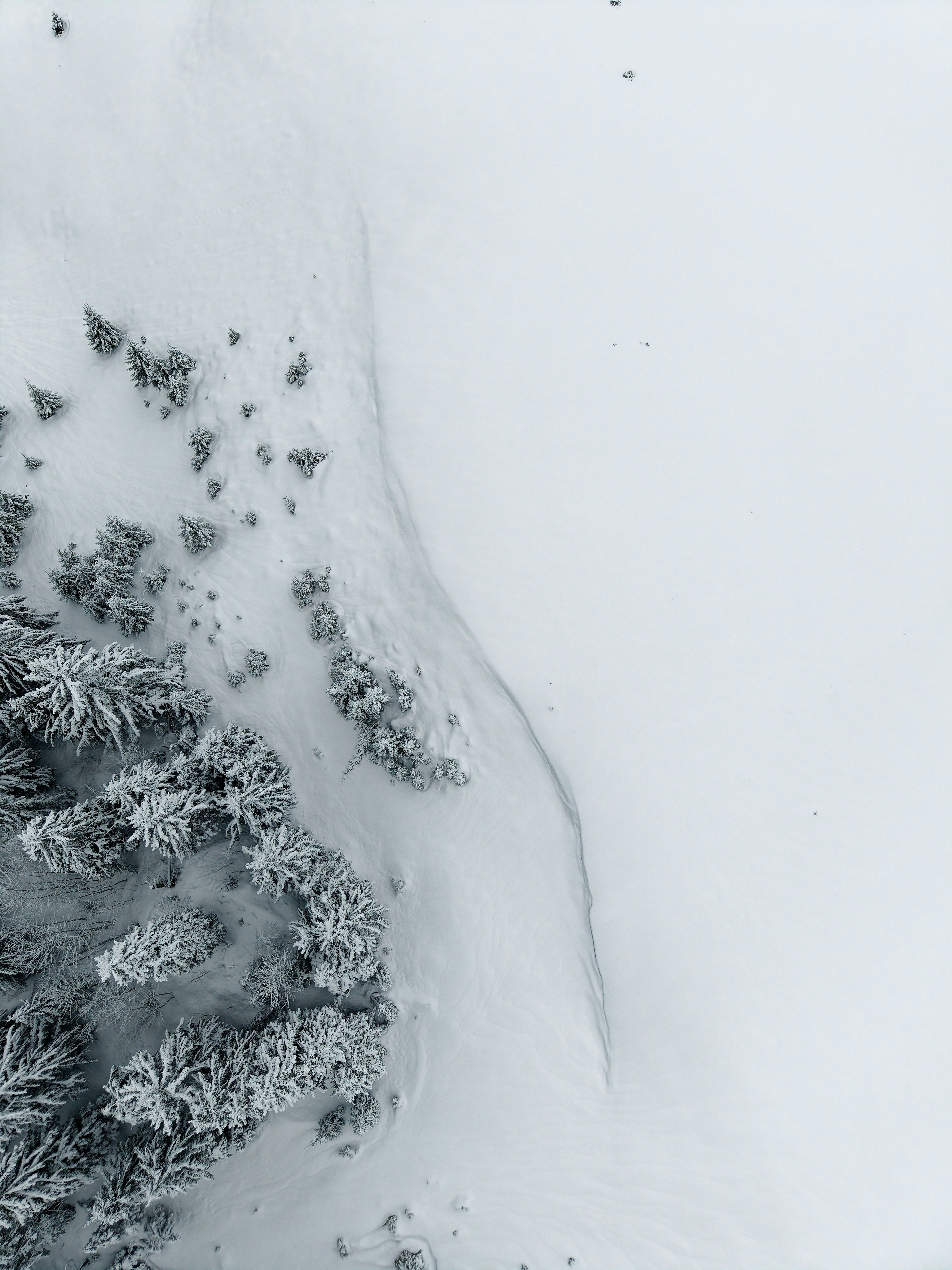 Photo by illes_cristi