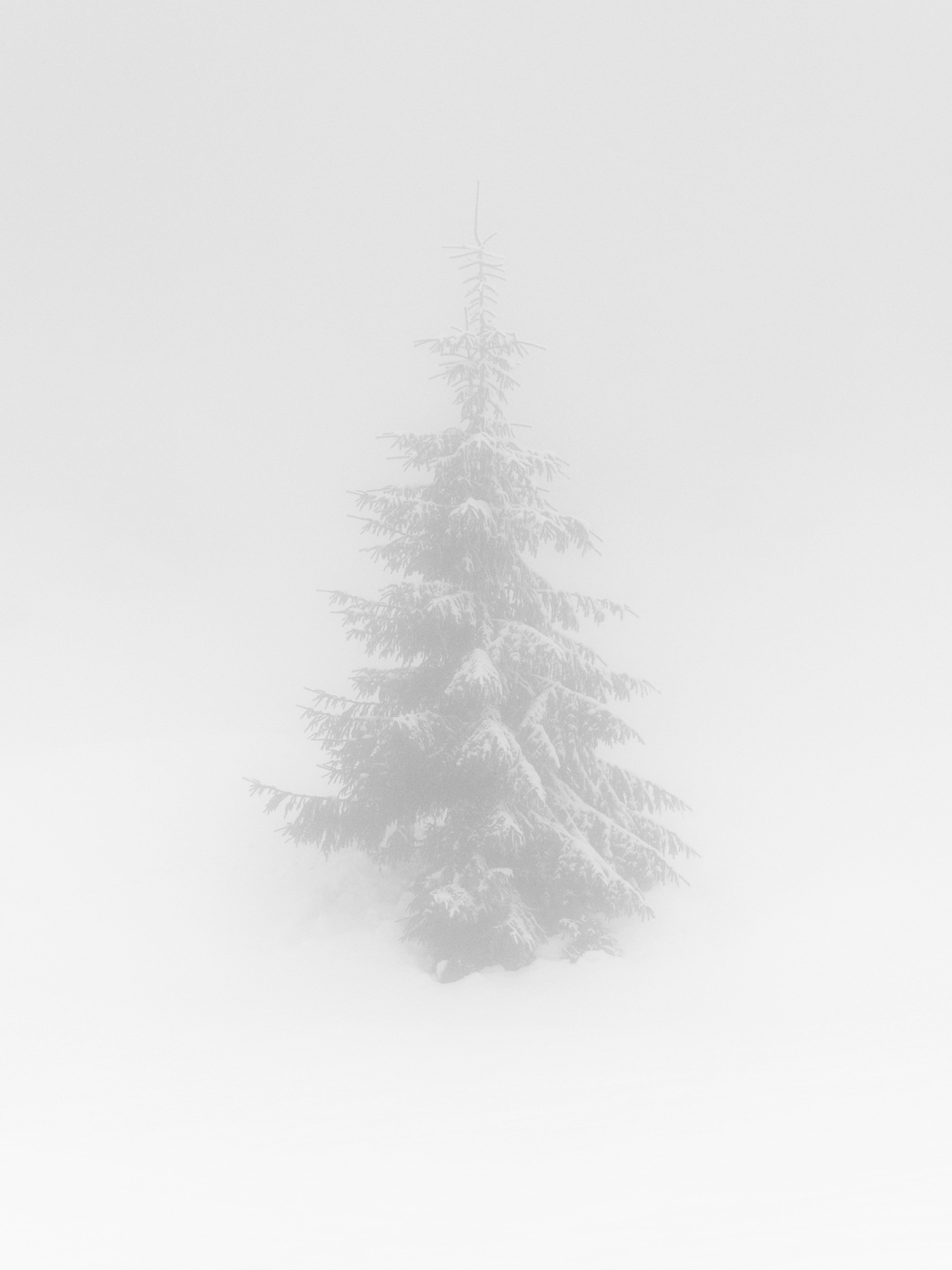 Photo by illes_cristi