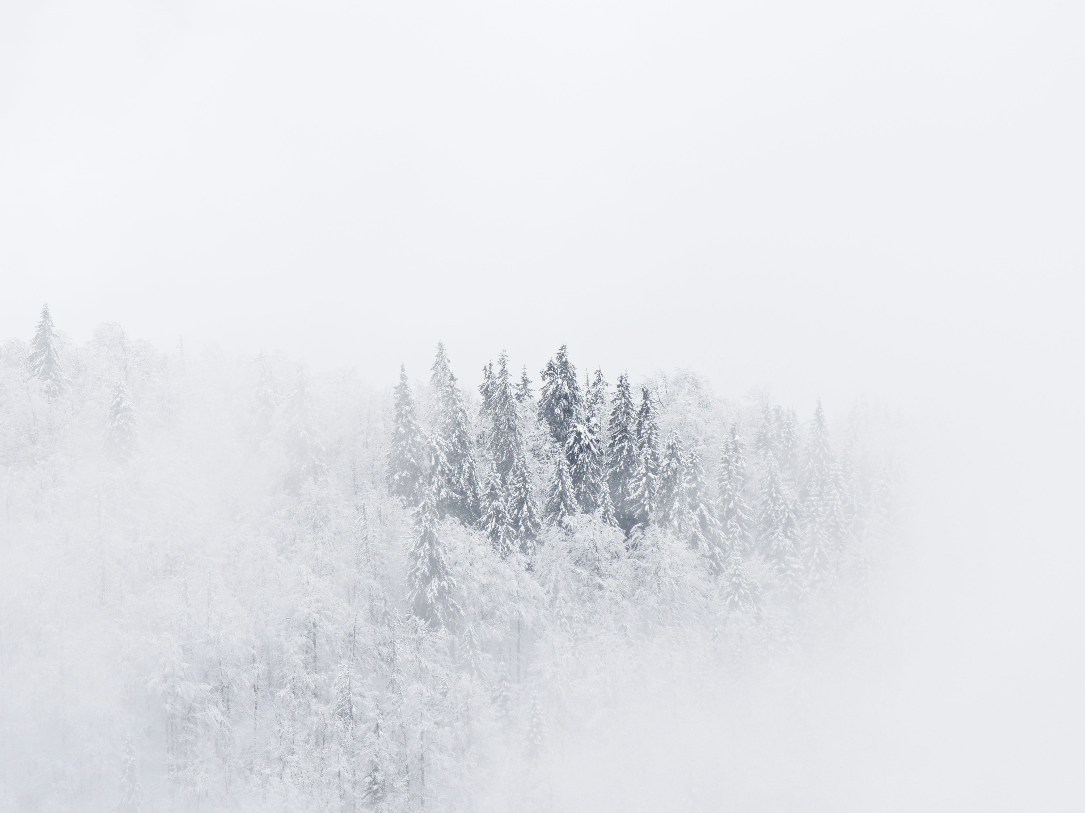 Photo by illes_cristi