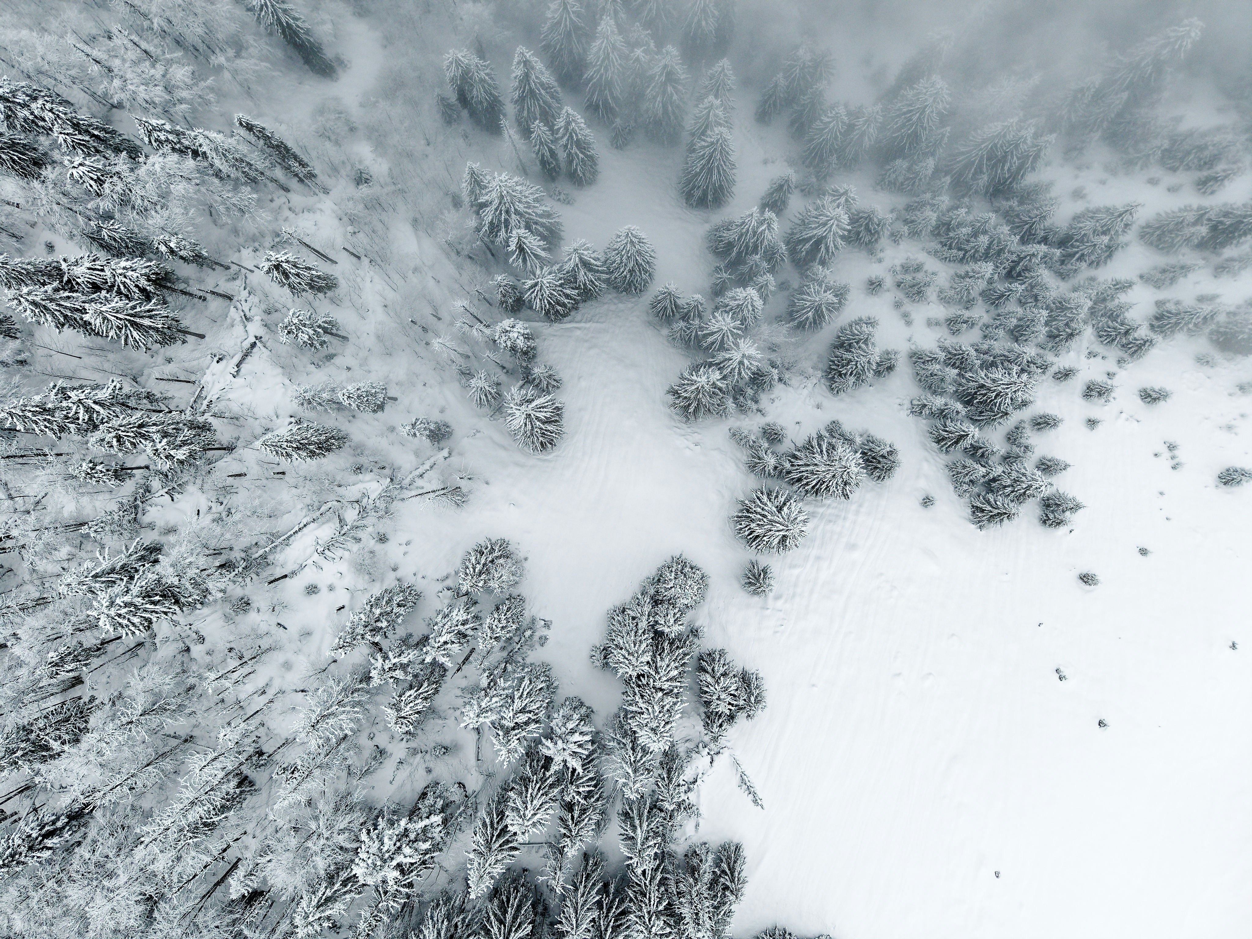 Photo by illes_cristi