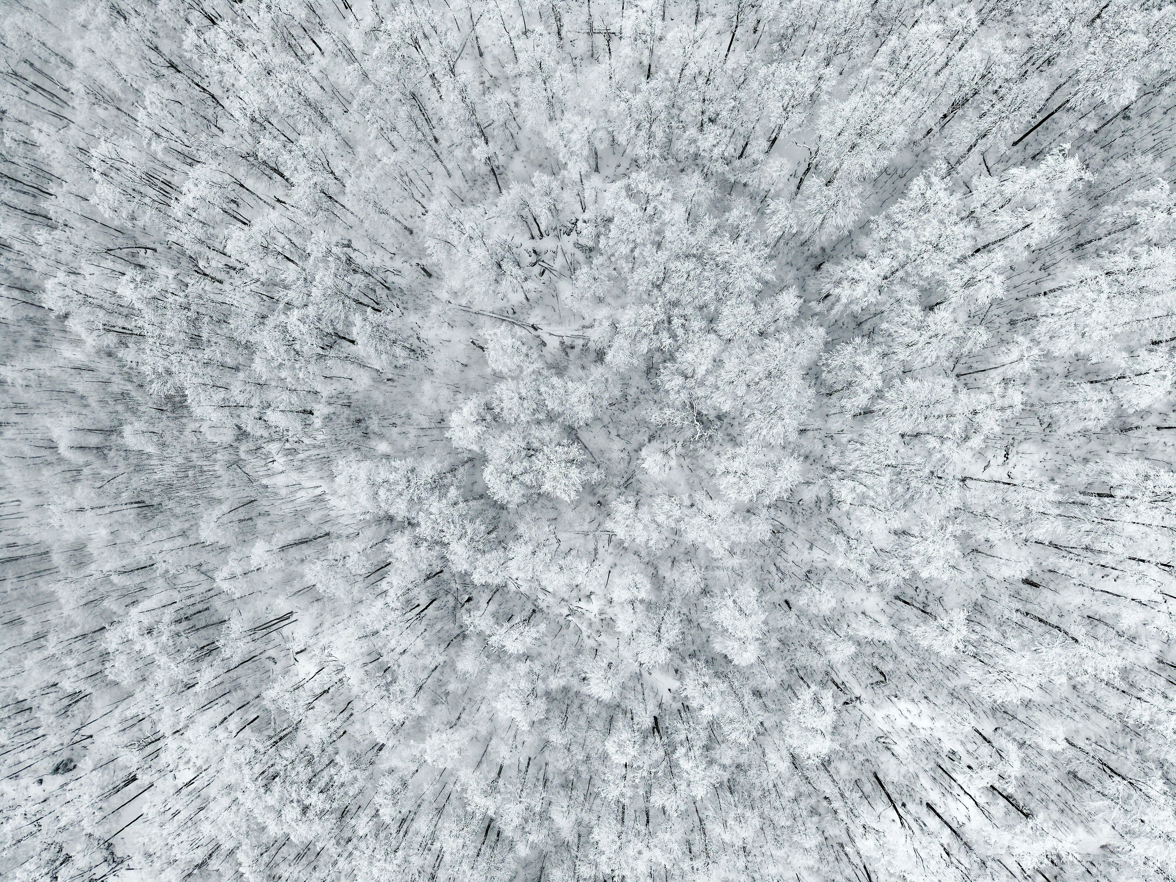 Photo by illes_cristi