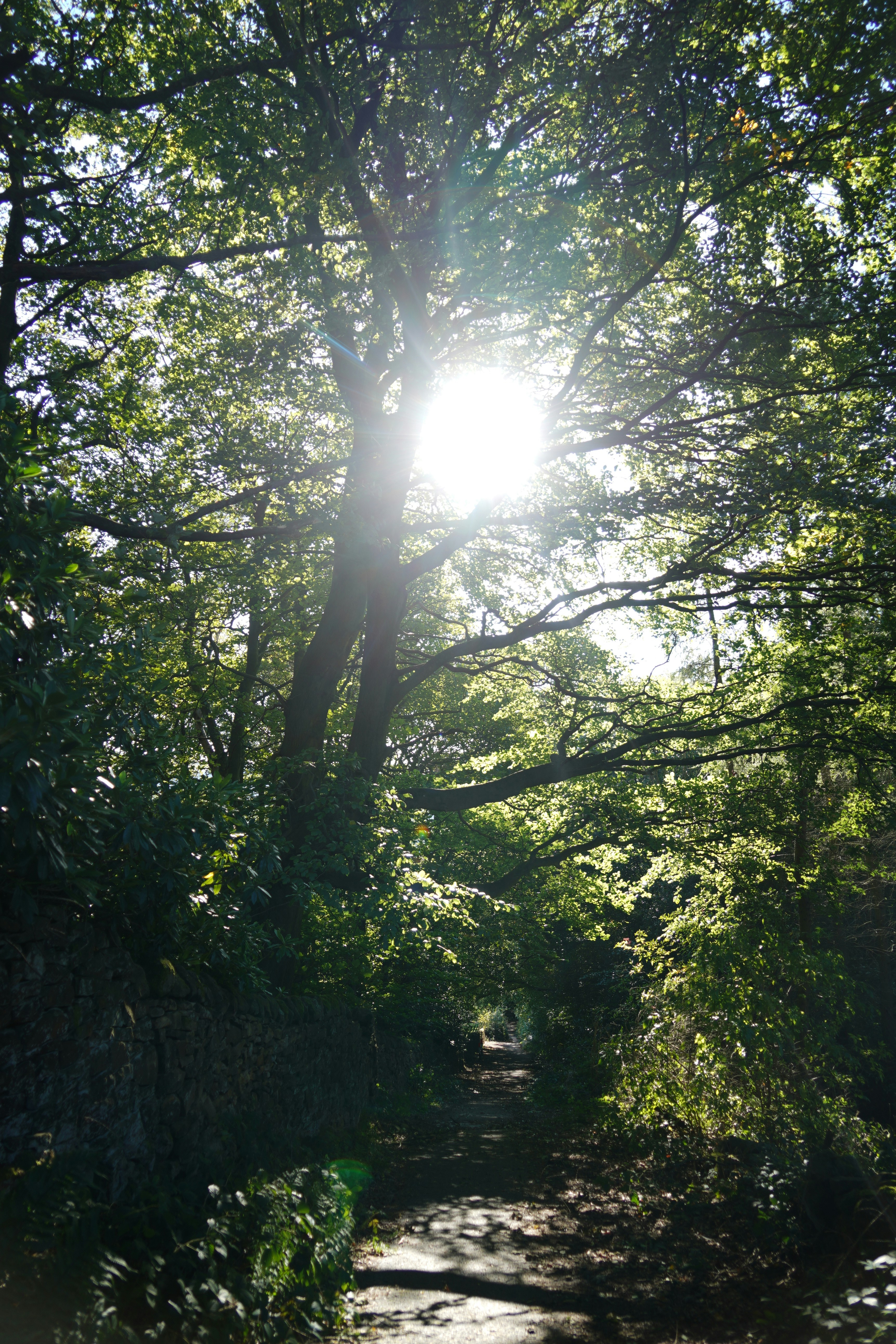 Photo by chloemakeit0612