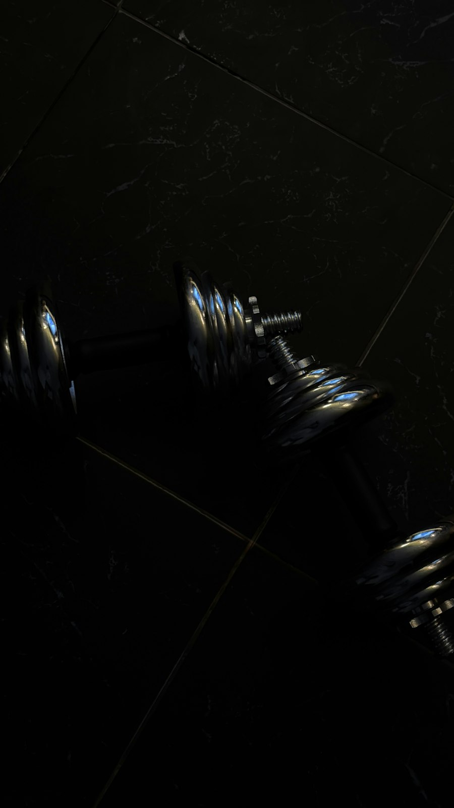 Adjustable dumbbells on a dark tiled floor
