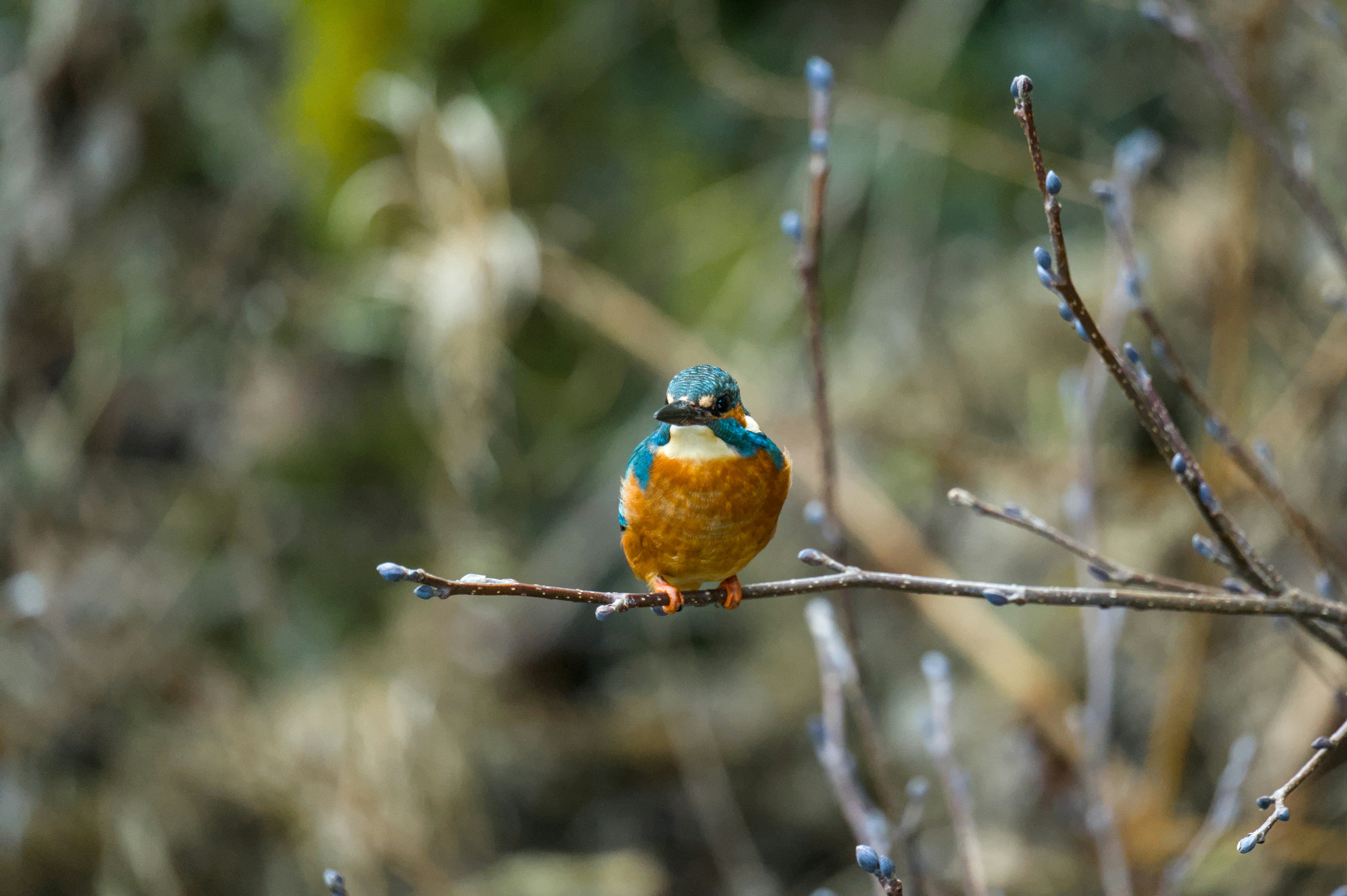 Photo by valentin_karisch