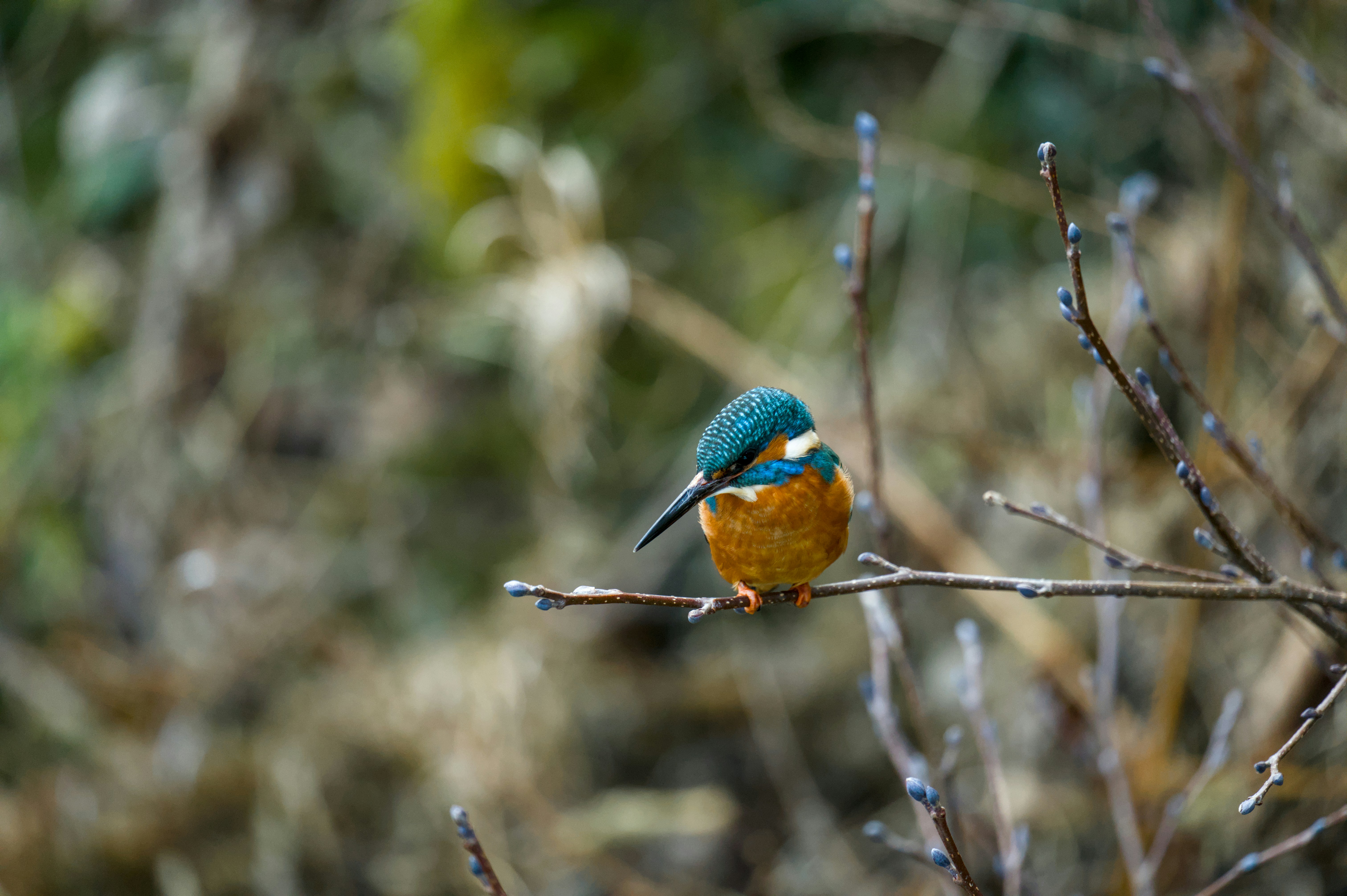 Photo by valentin_karisch