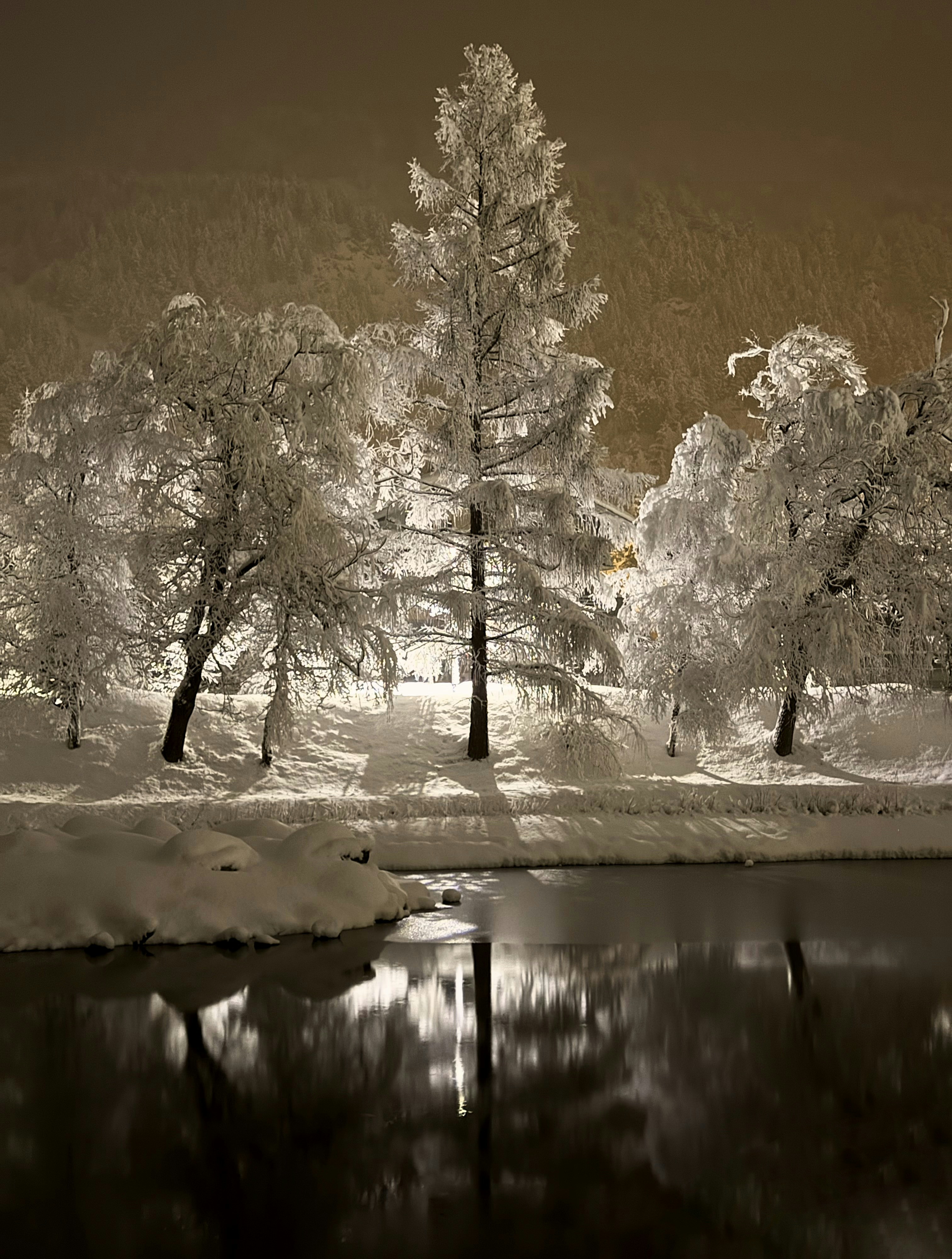 눈 덮인 나무들이 밤의 어두운 물에 반사되었다