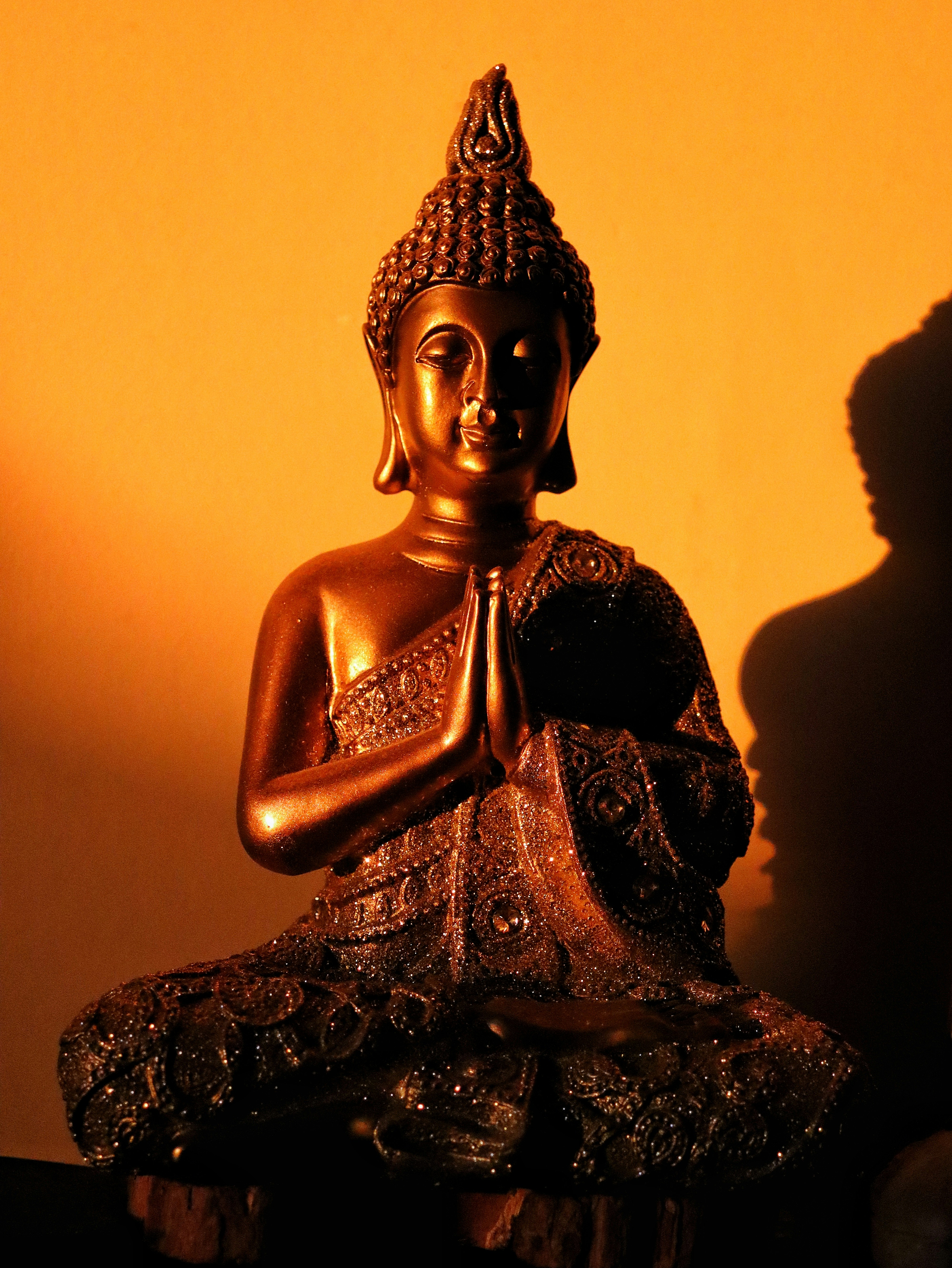 Photo by caio_delarolle