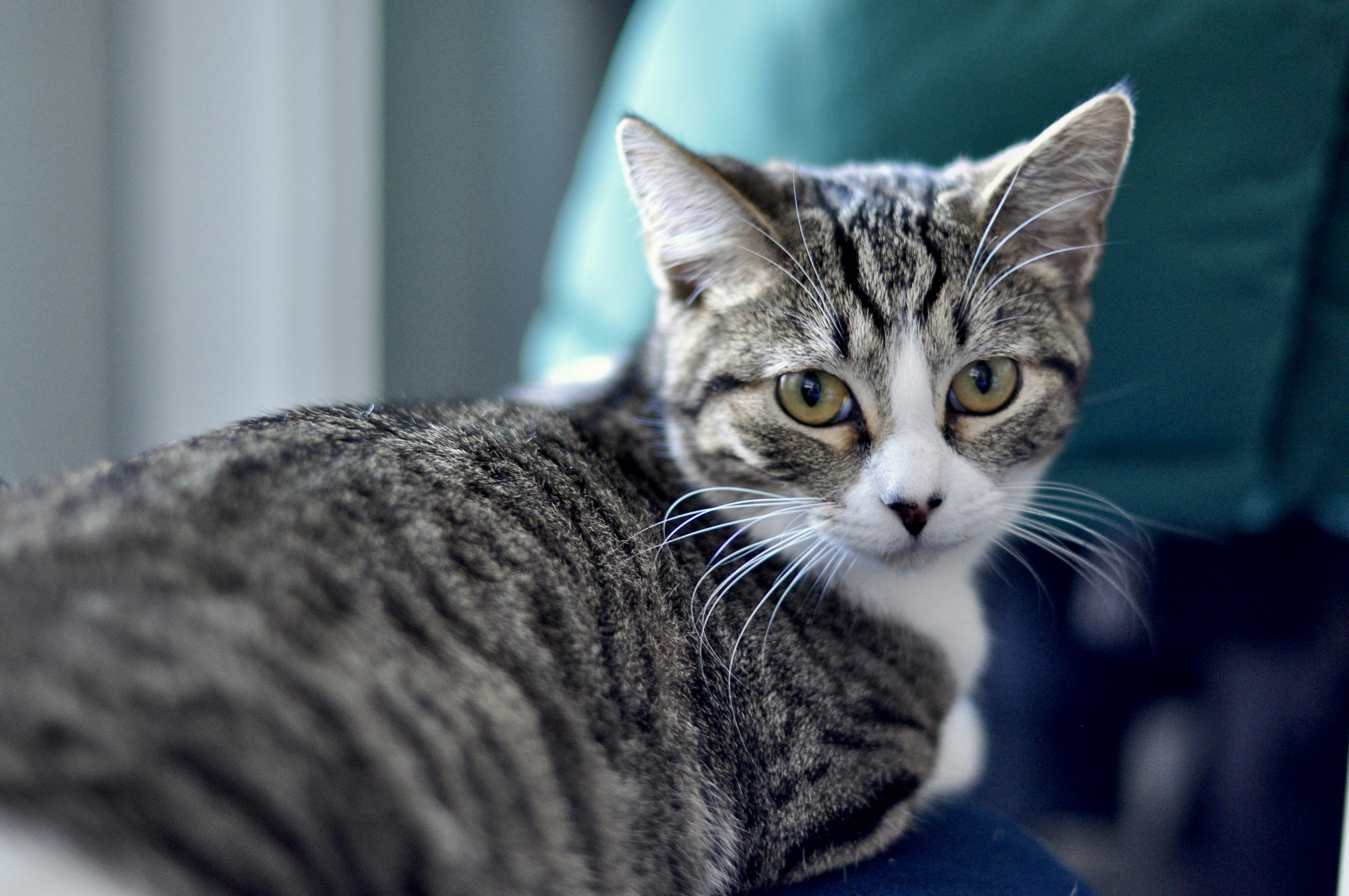 Photo by cameramandan83