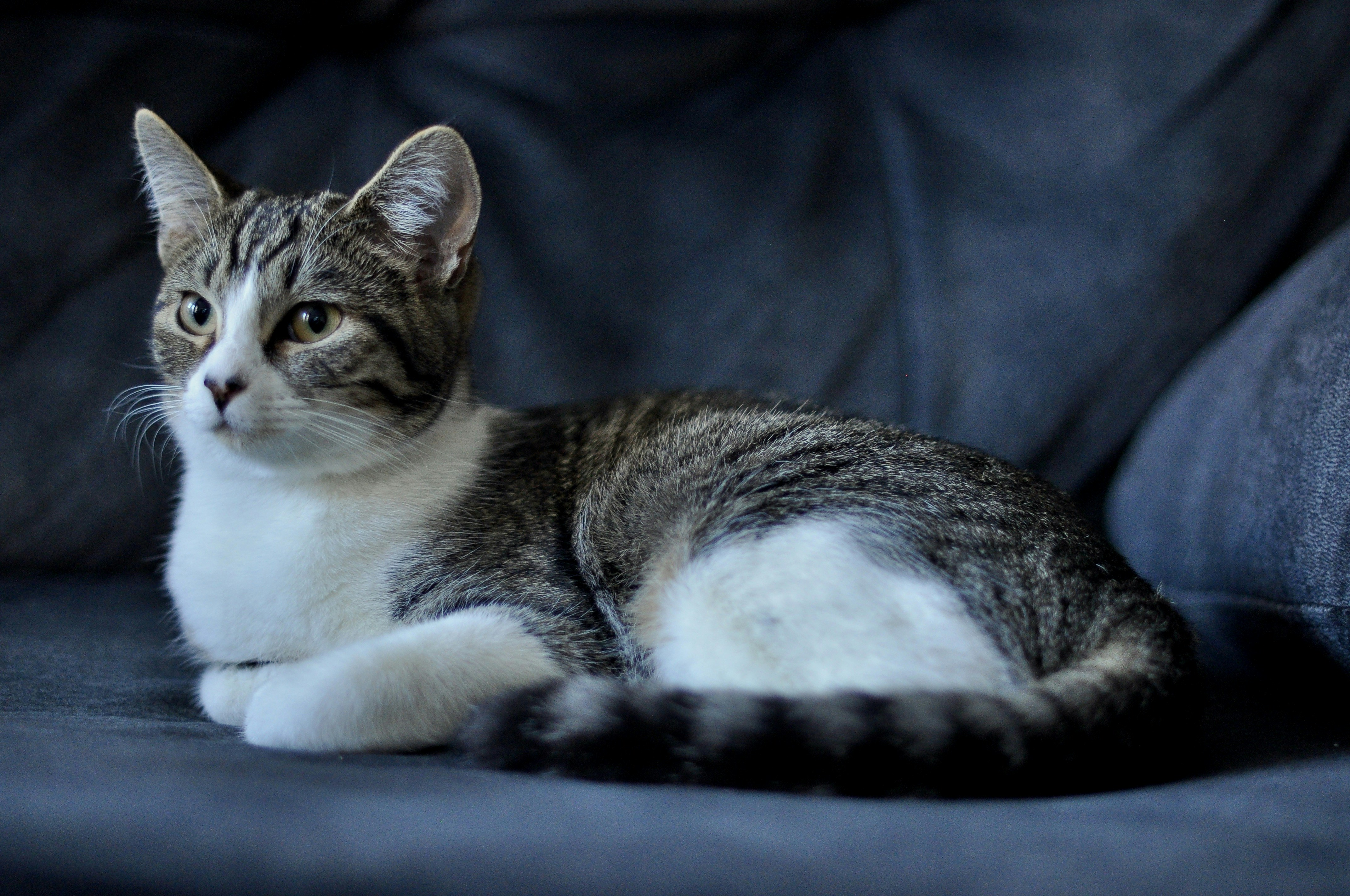 Photo by cameramandan83