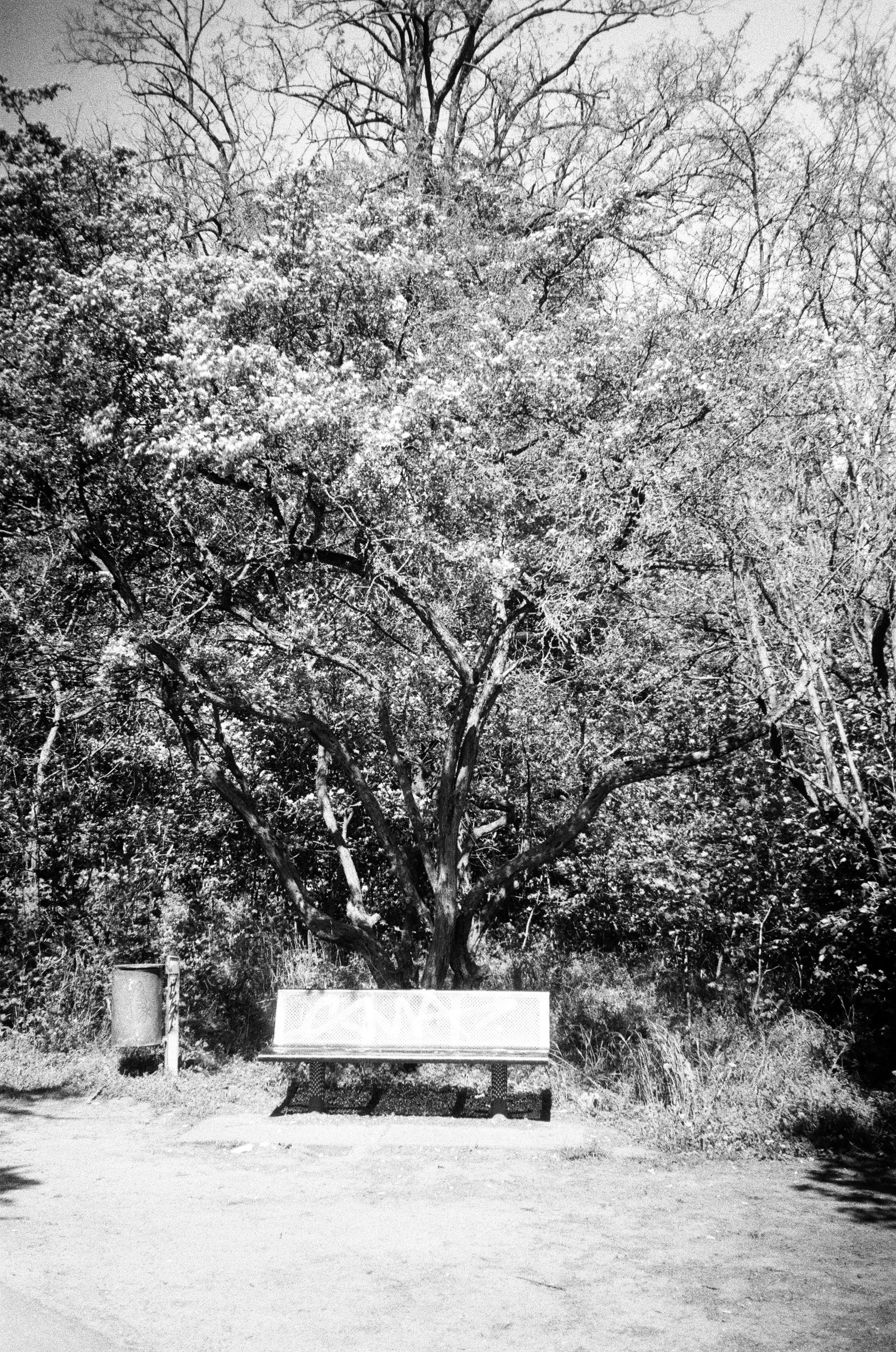 Photo by _kseniademenko