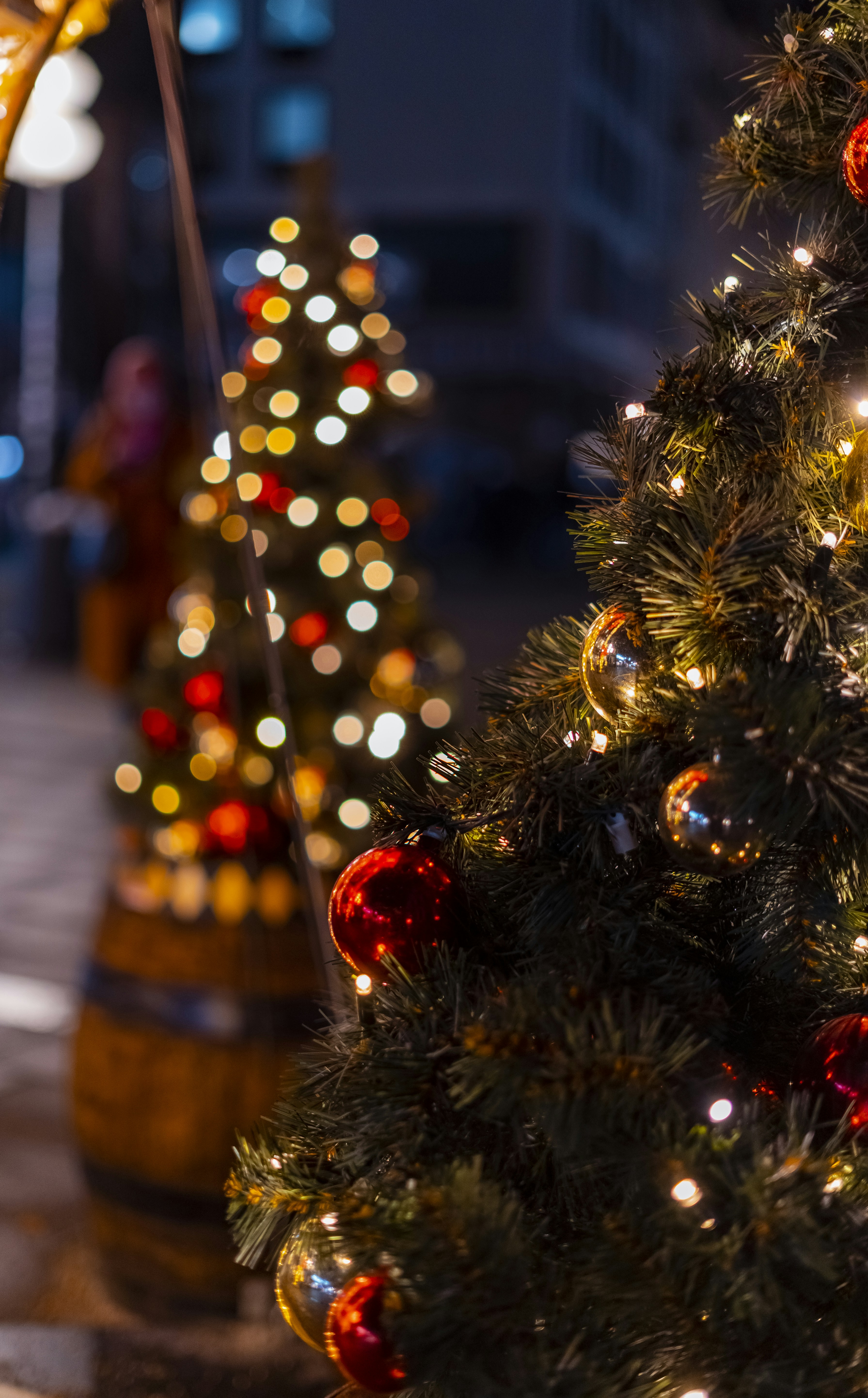 Photo by fatma_gallery