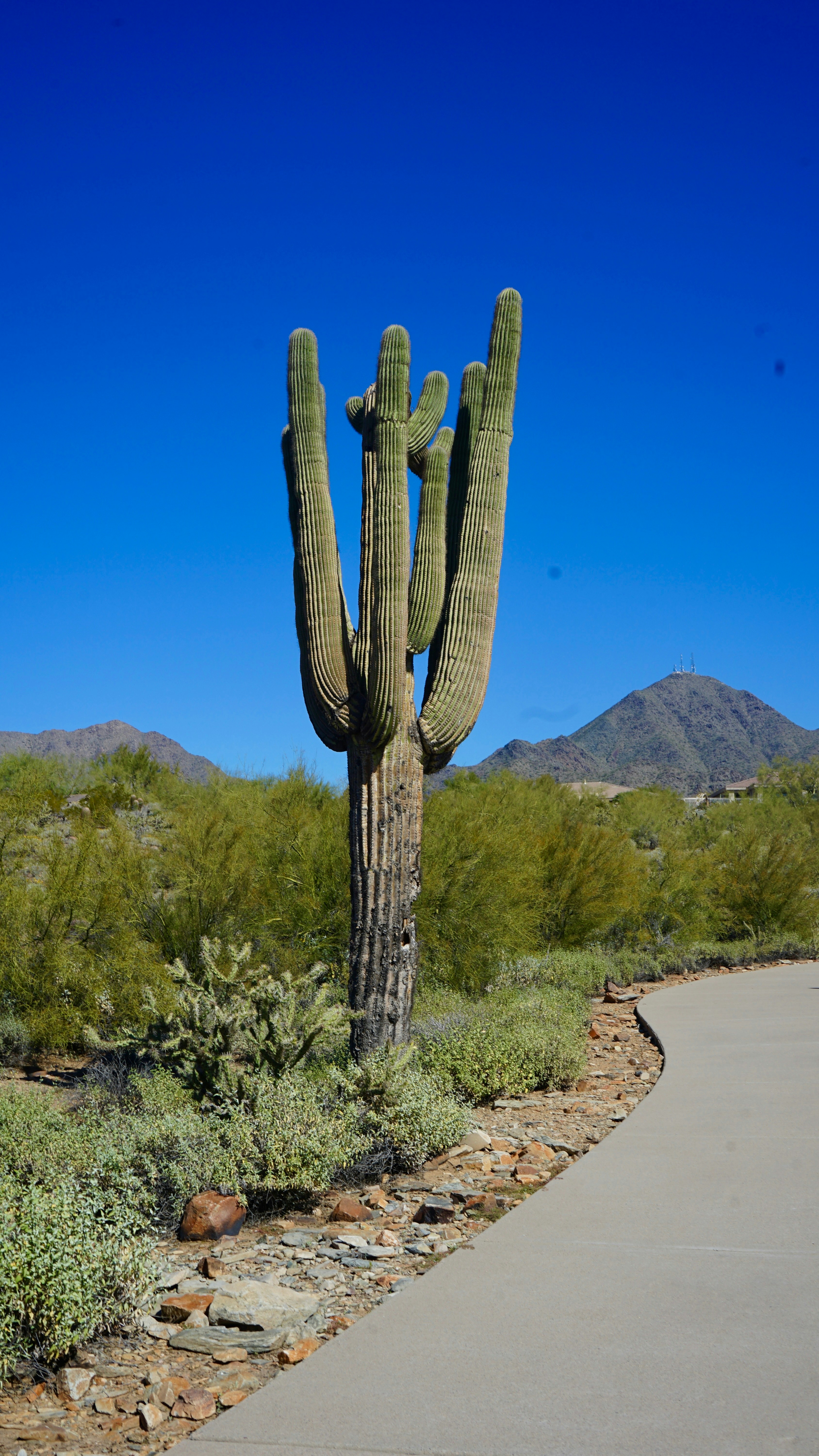 Photo by bloomingbee