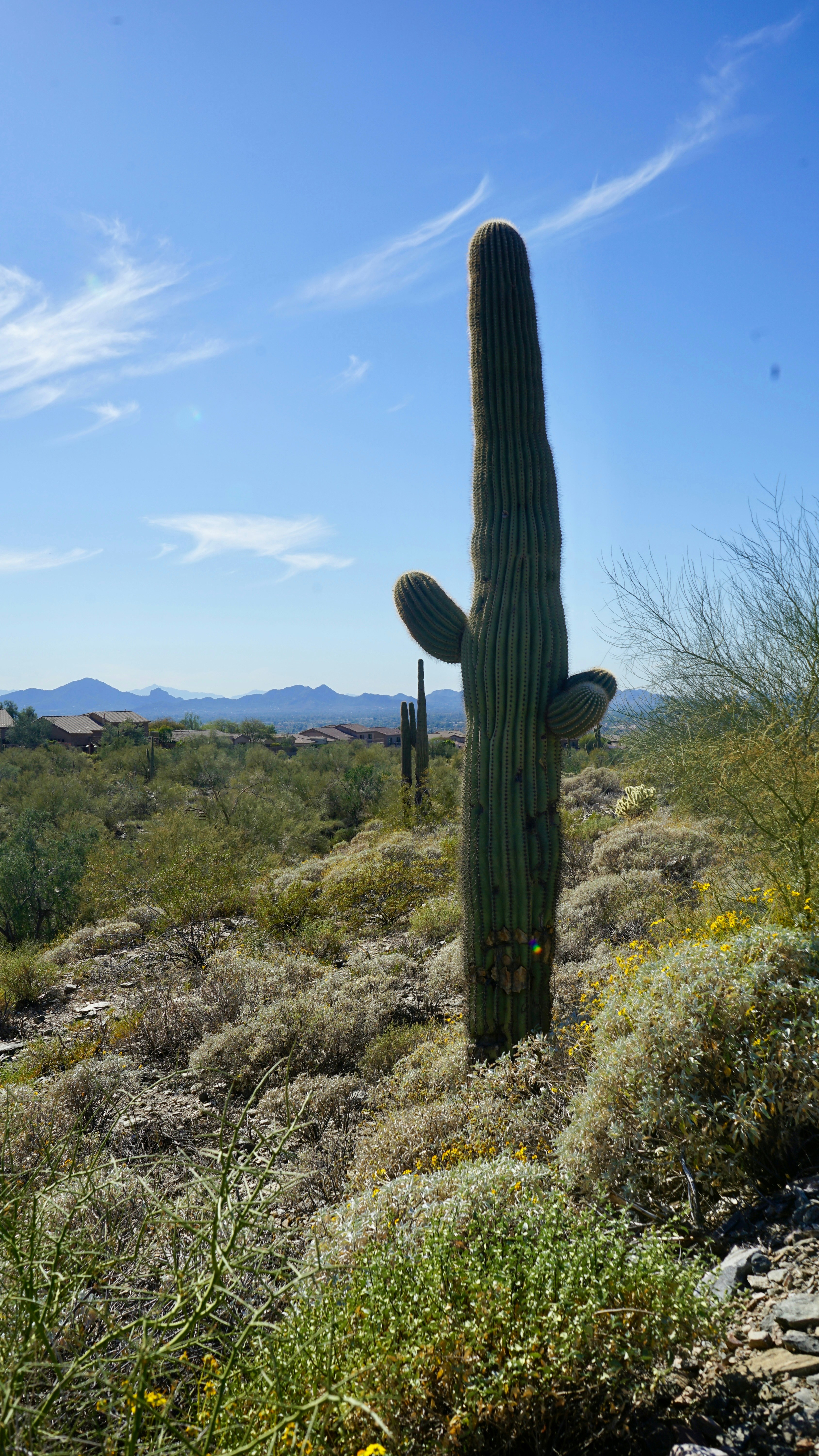 Photo by bloomingbee