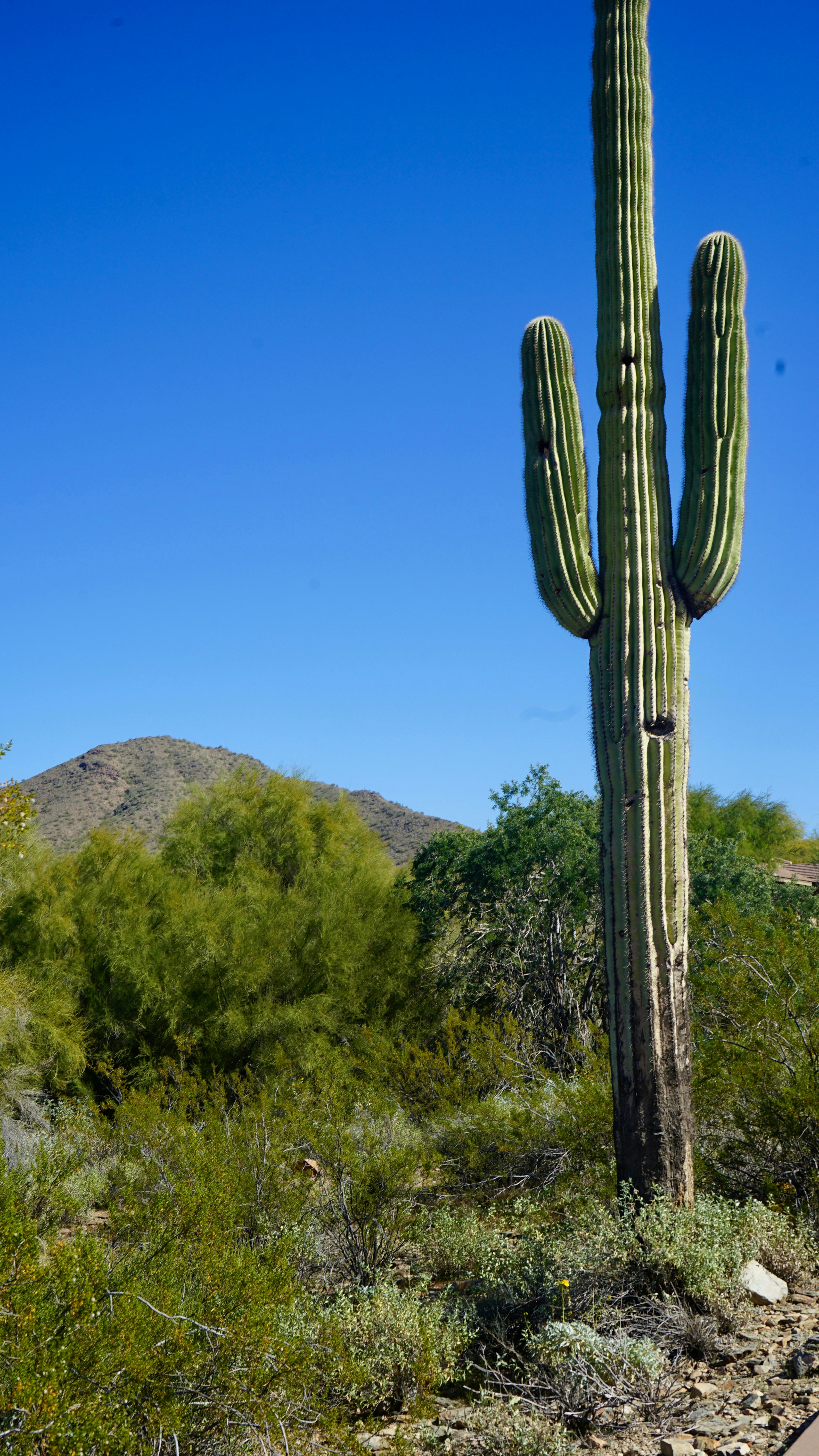 Photo by bloomingbee