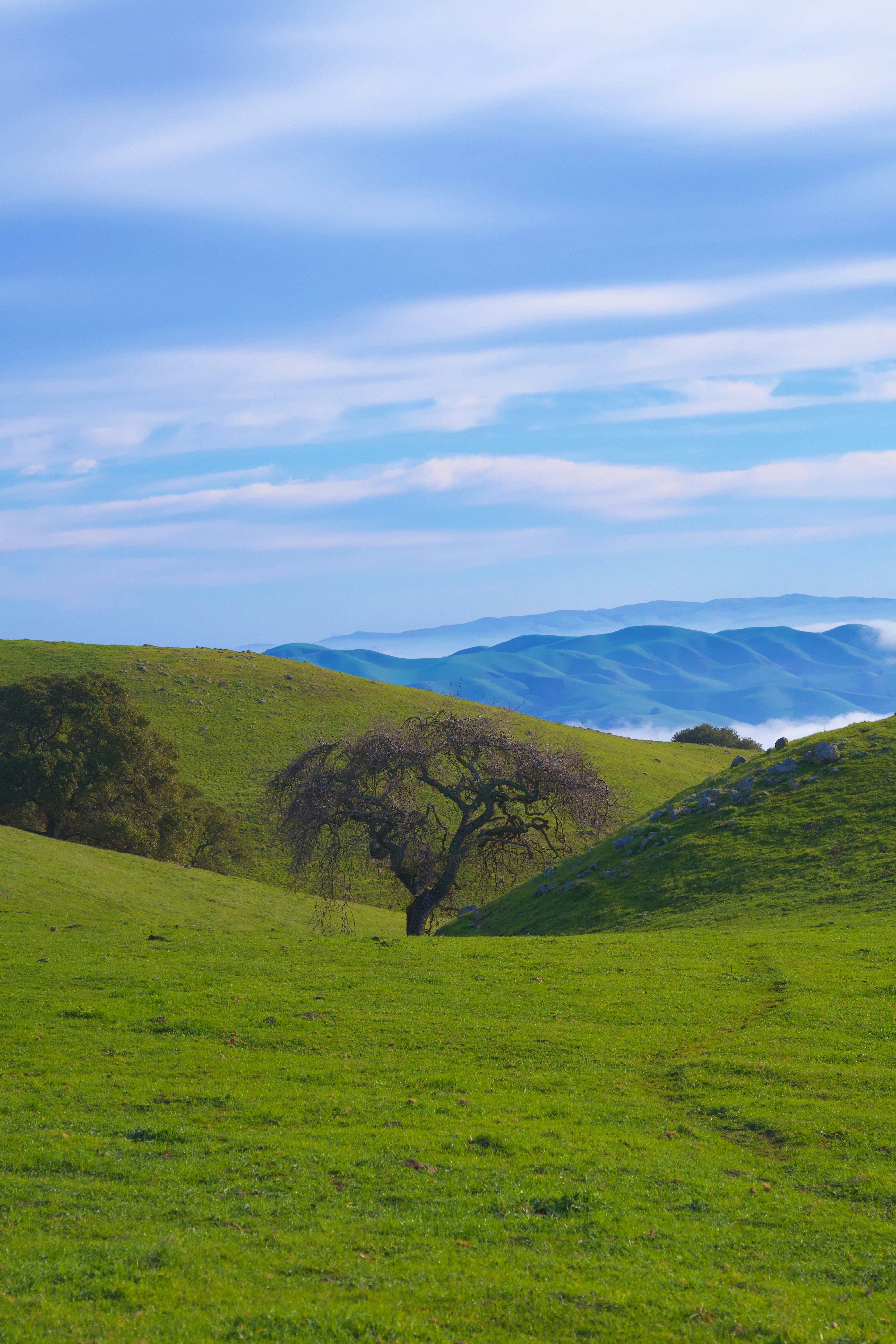 Photo by spencer_demera