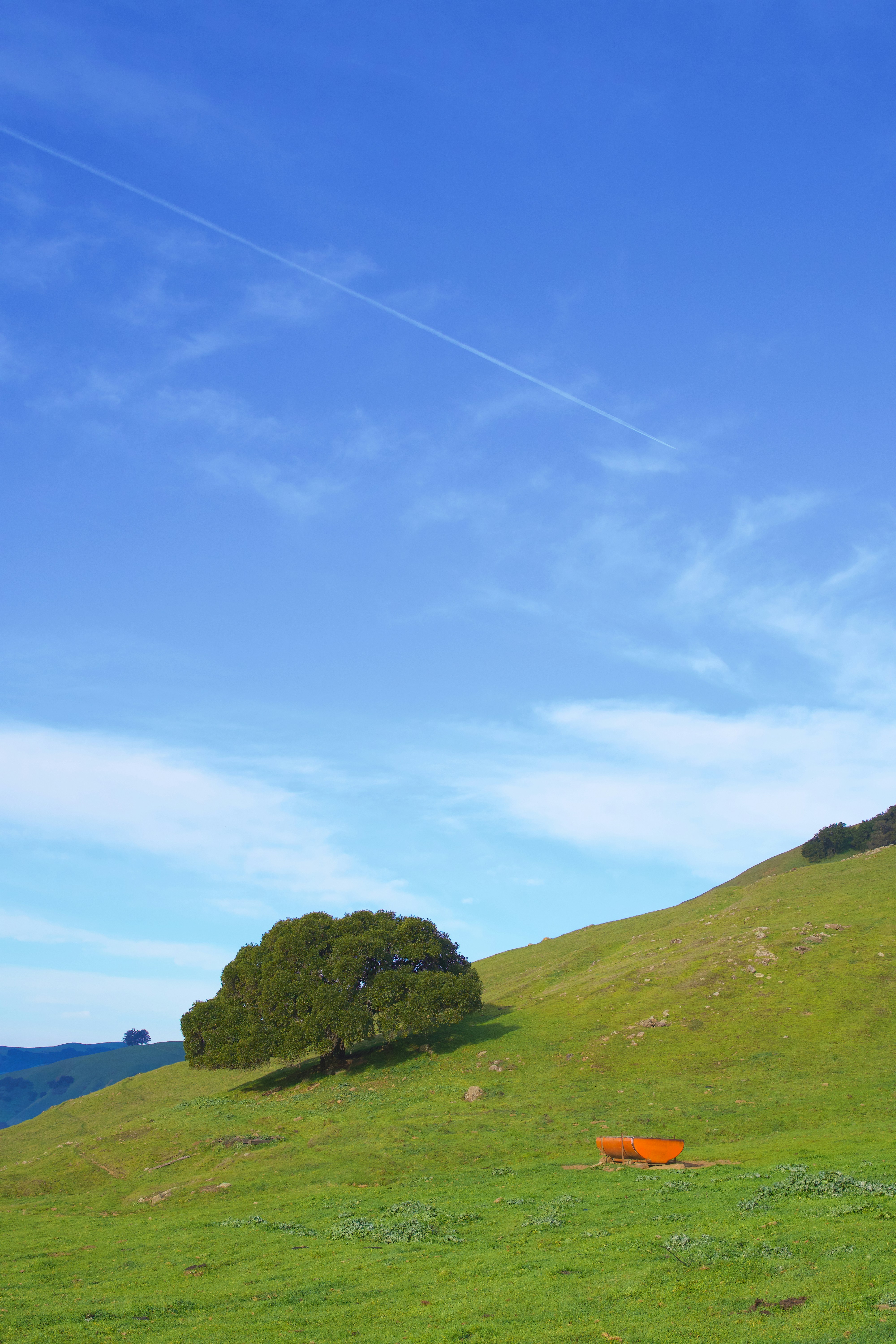 Photo by spencer_demera