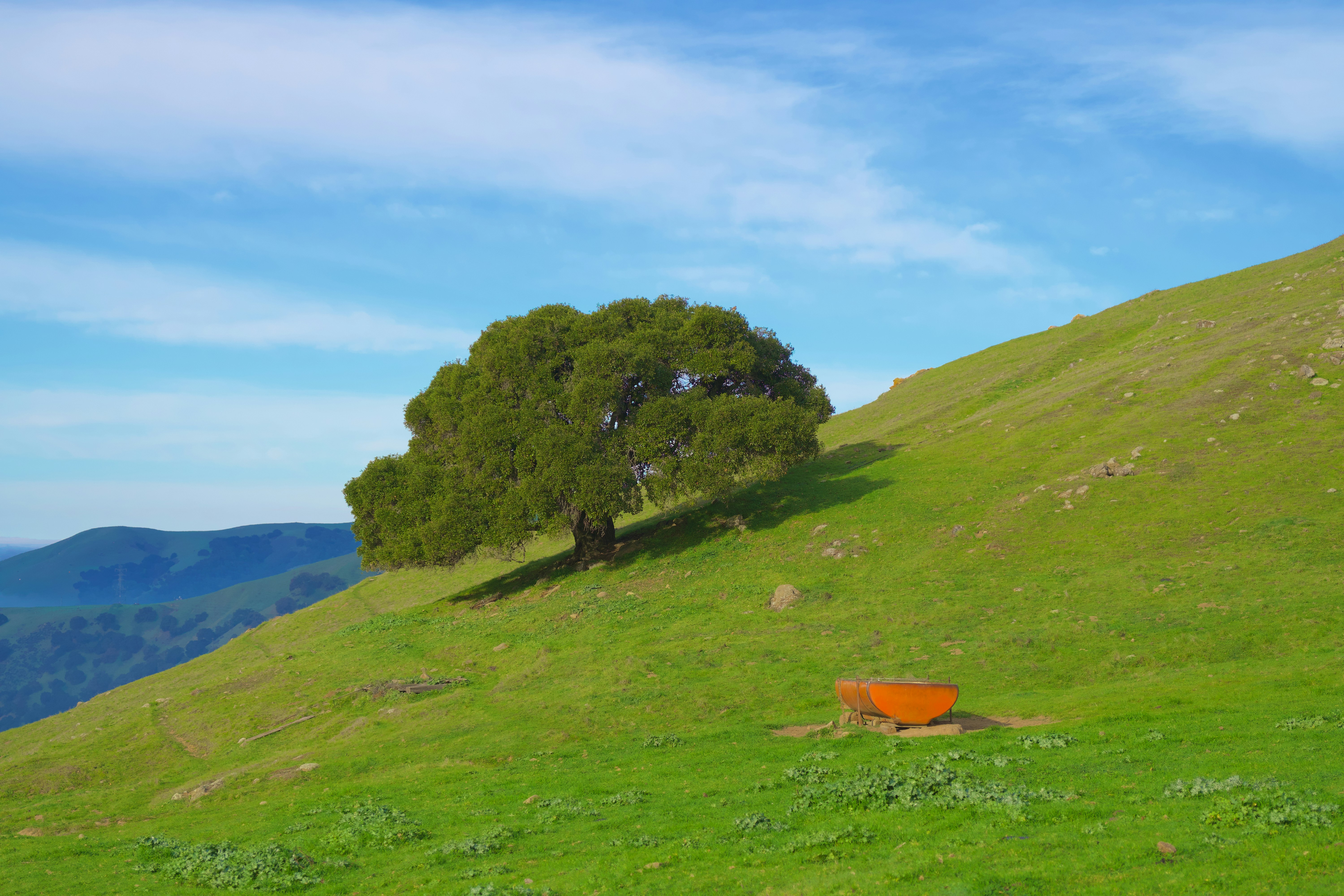 Photo by spencer_demera