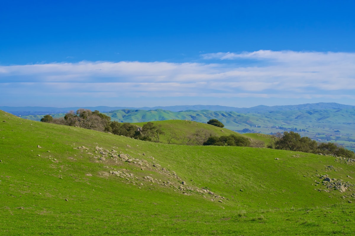 Lush green rolling hills under a bright blue sky