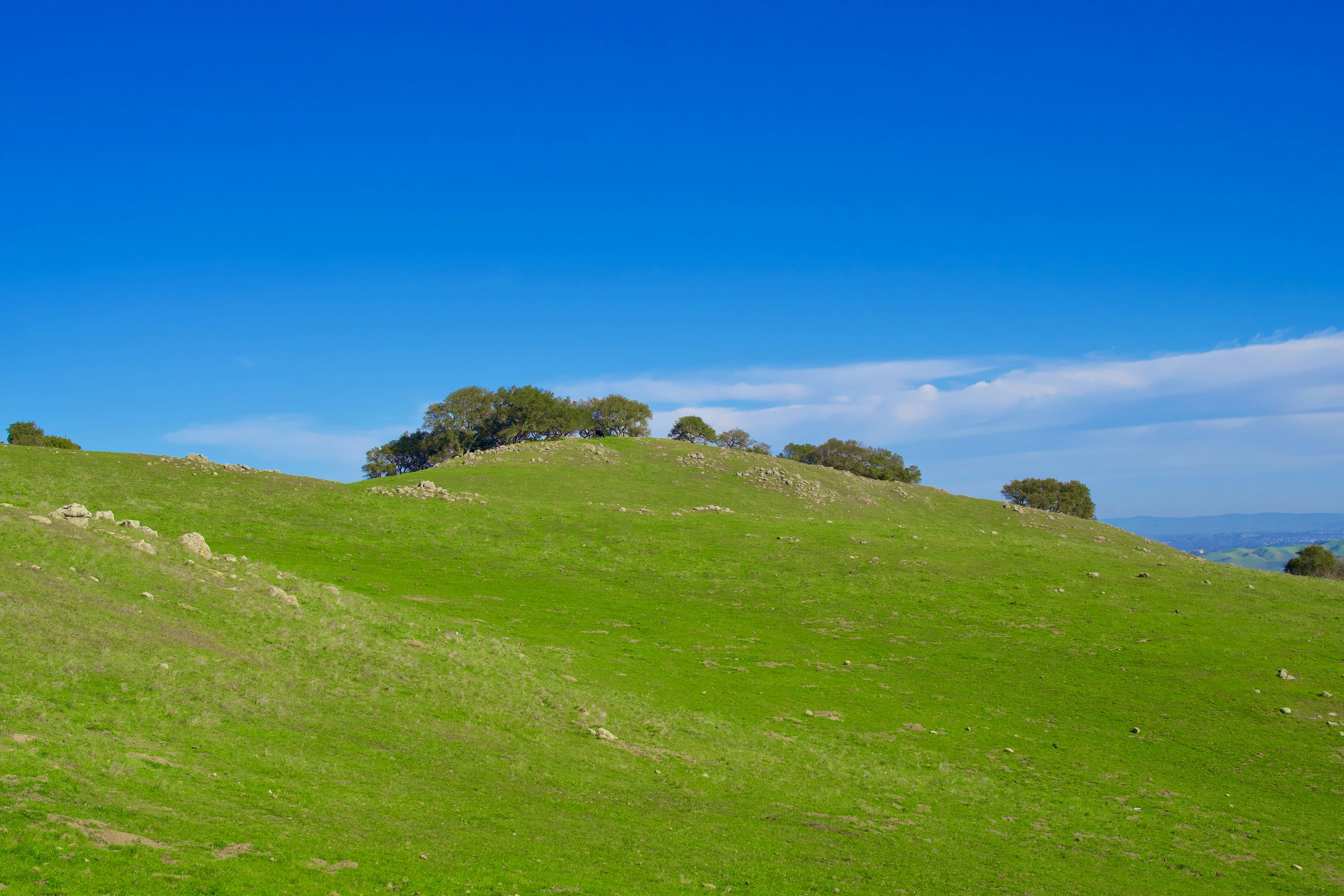 Photo by spencer_demera