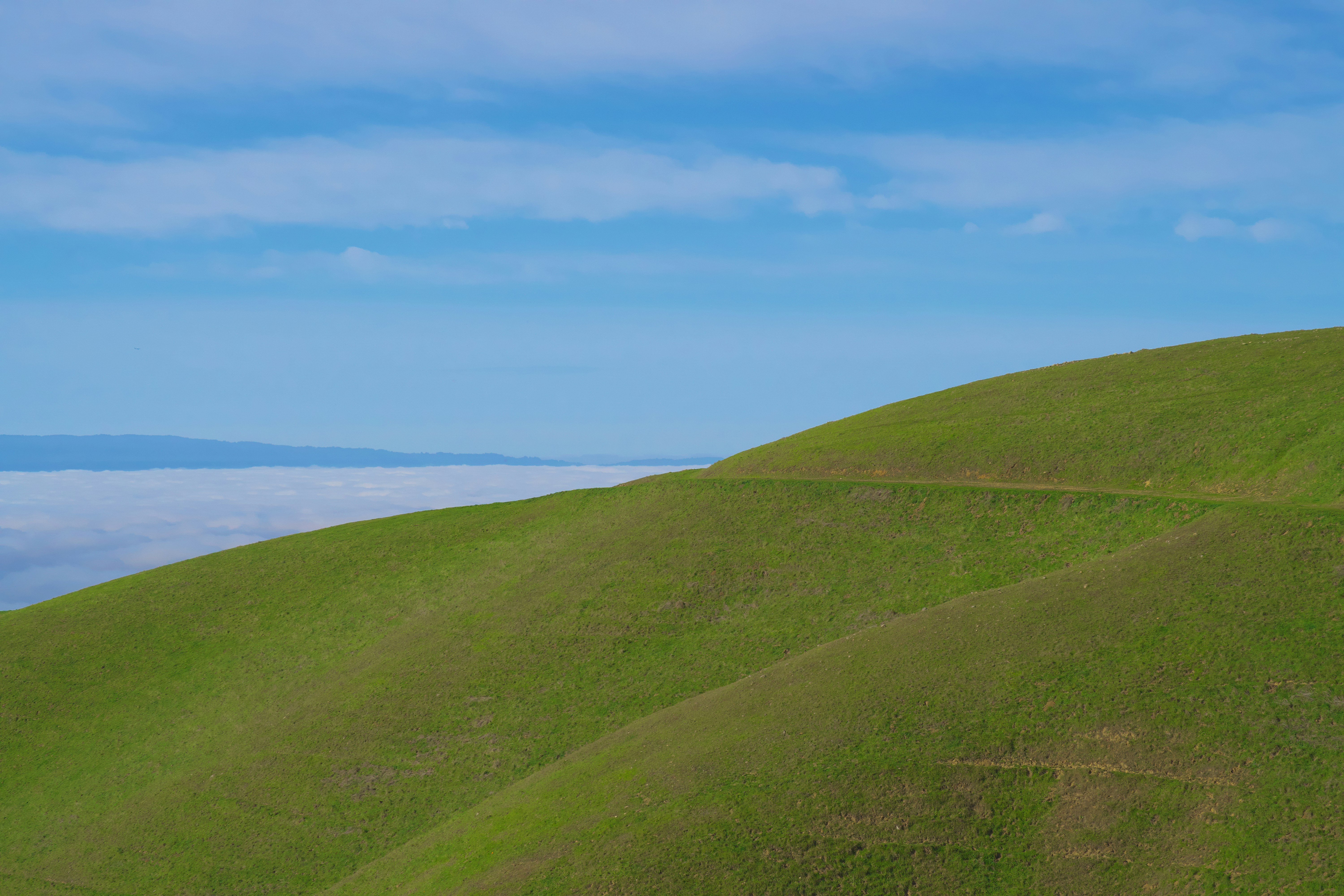 Photo by spencer_demera