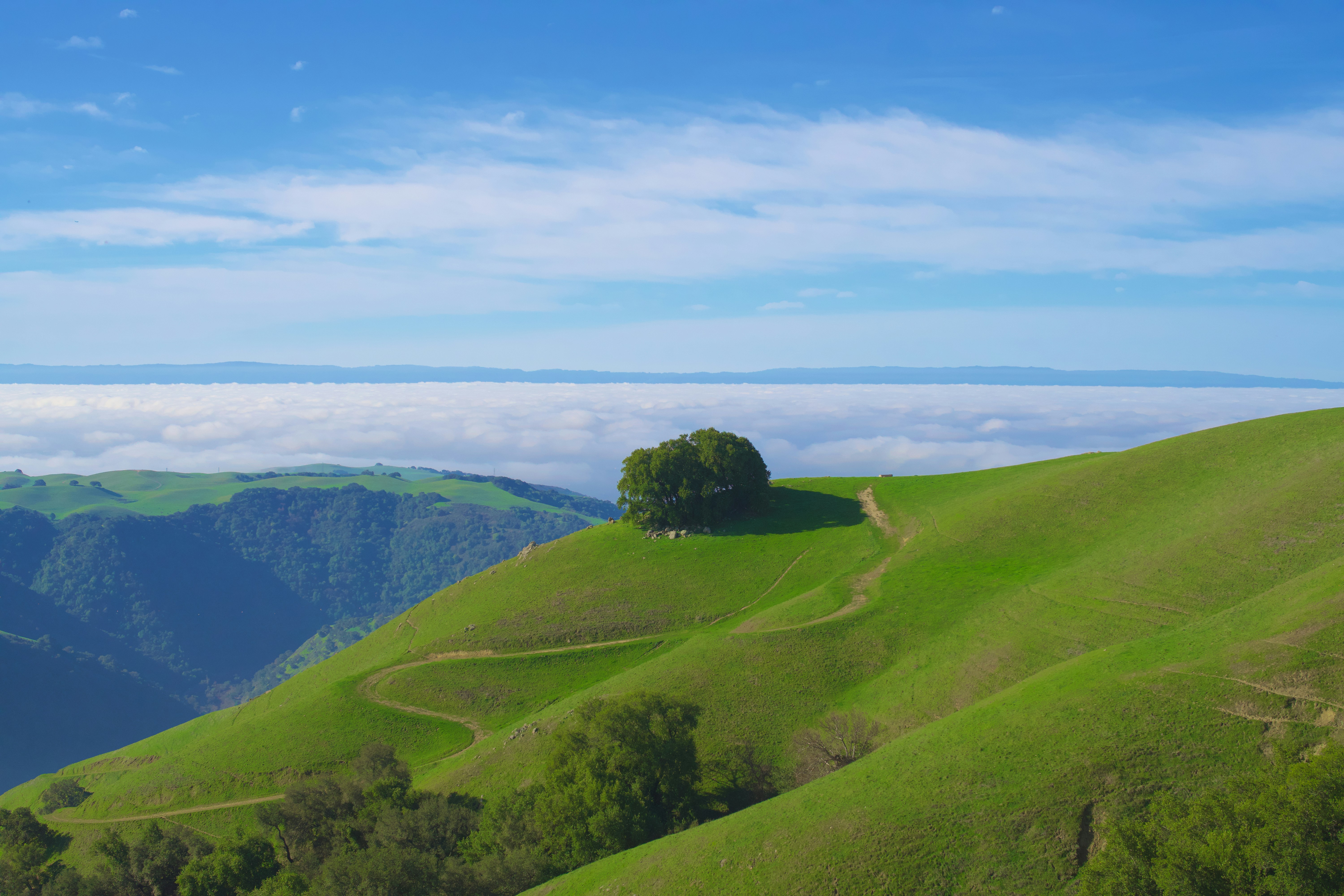 Photo by spencer_demera