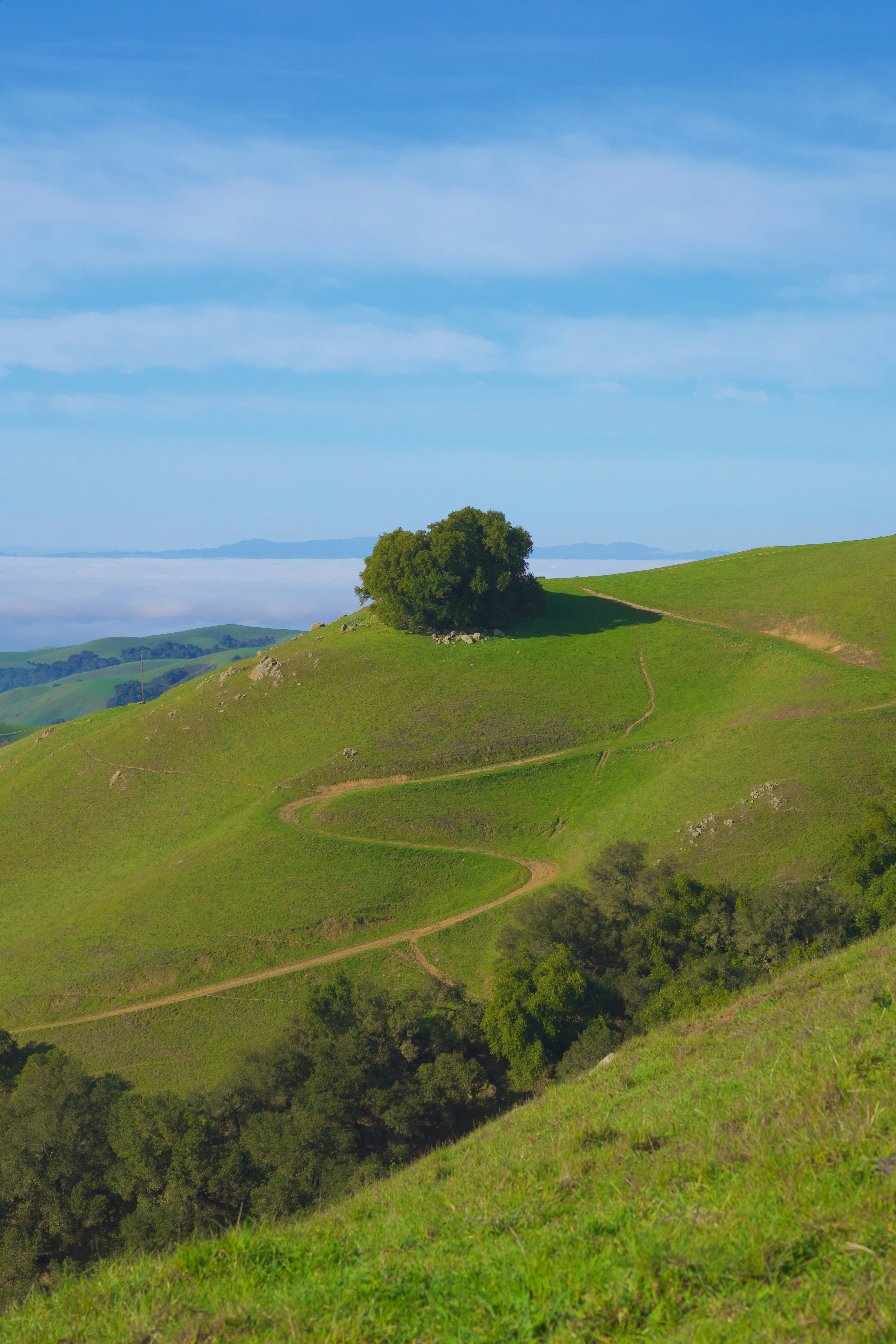 Photo by spencer_demera